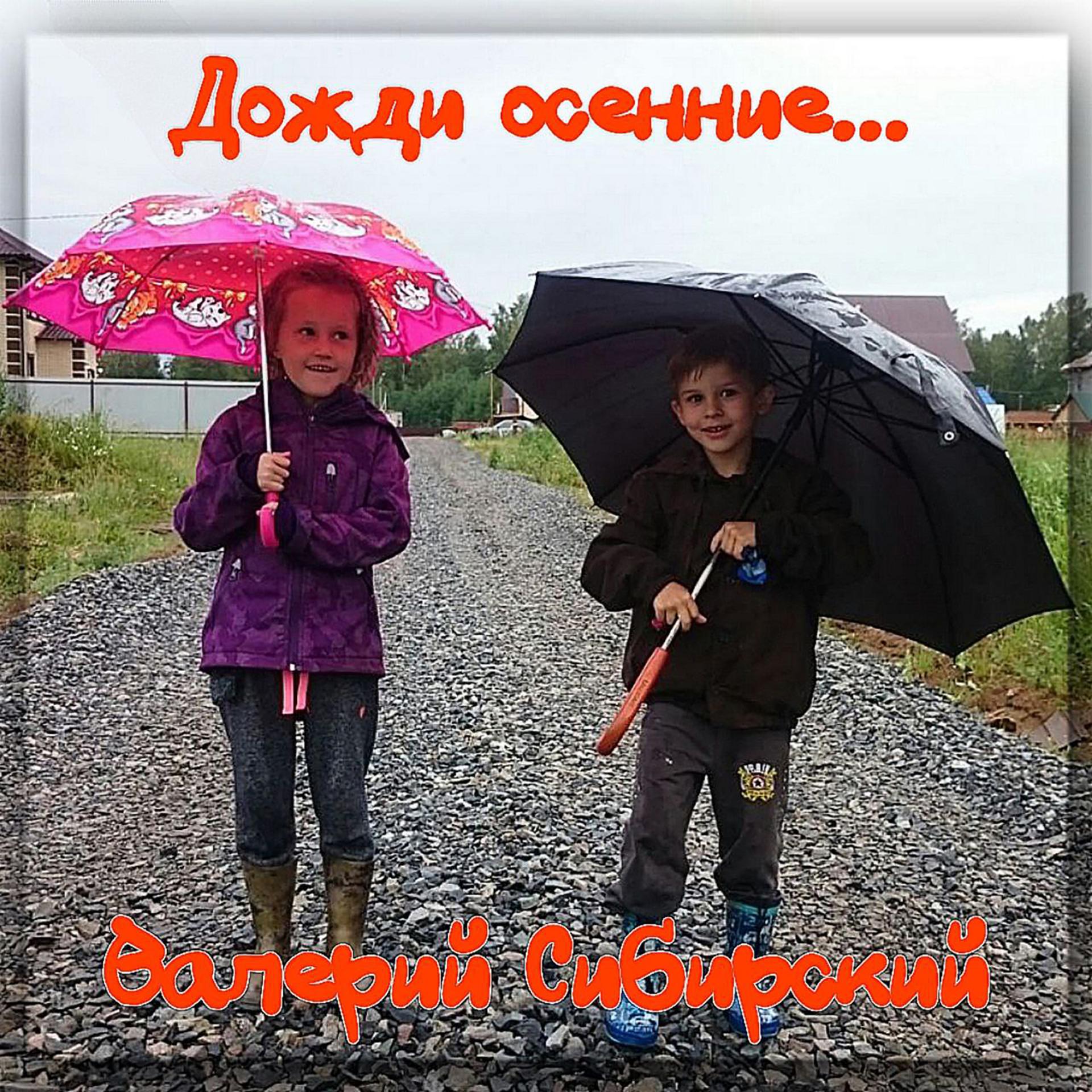 Постер альбома Дожди осенние...