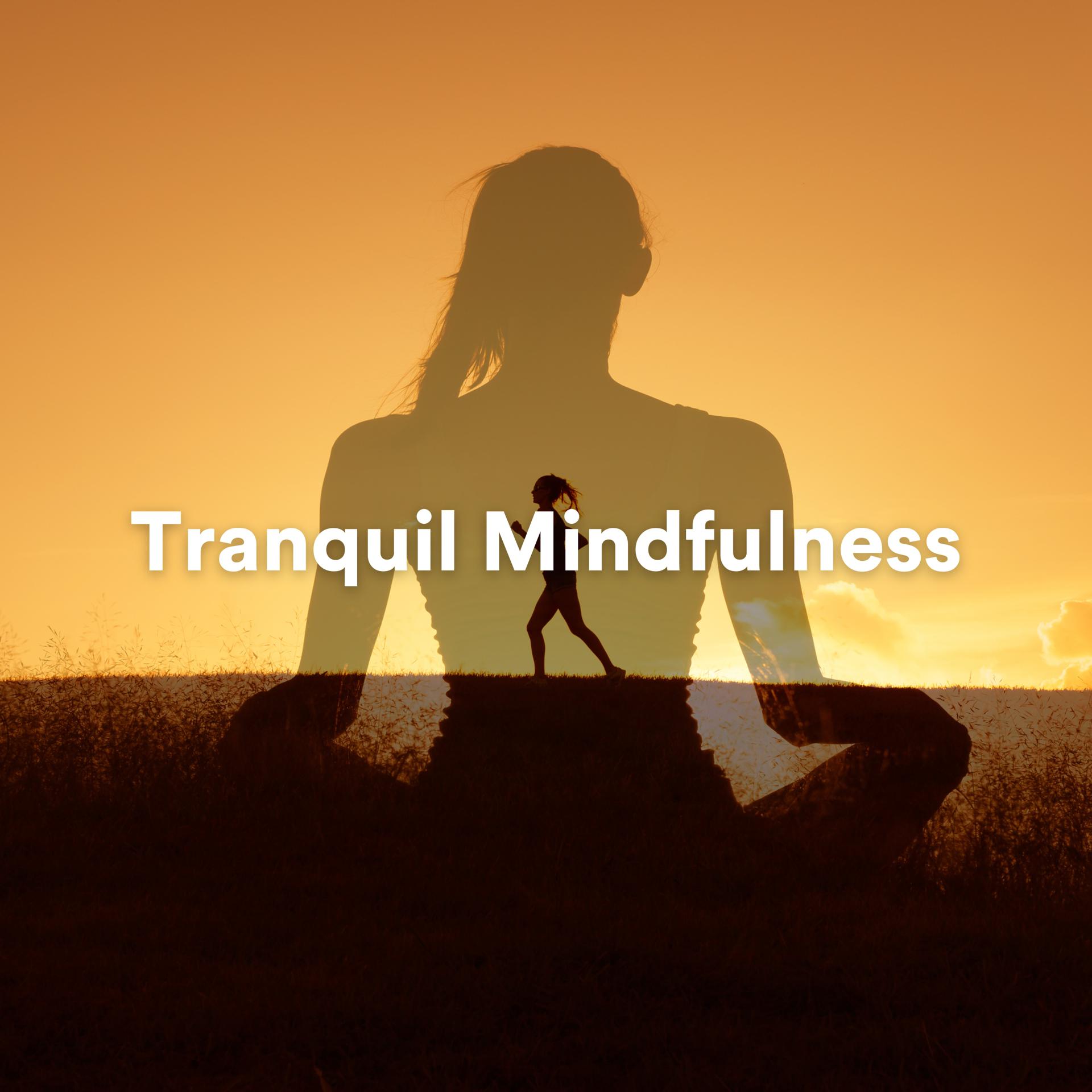 Постер альбома Tranquil Mindfulness