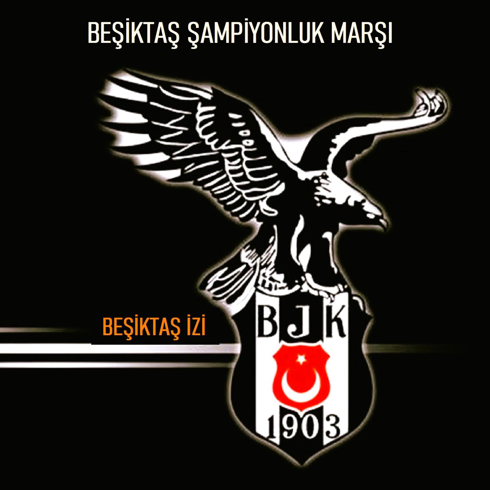 Постер альбома Beşiktaş Şampiyonluk Marşı