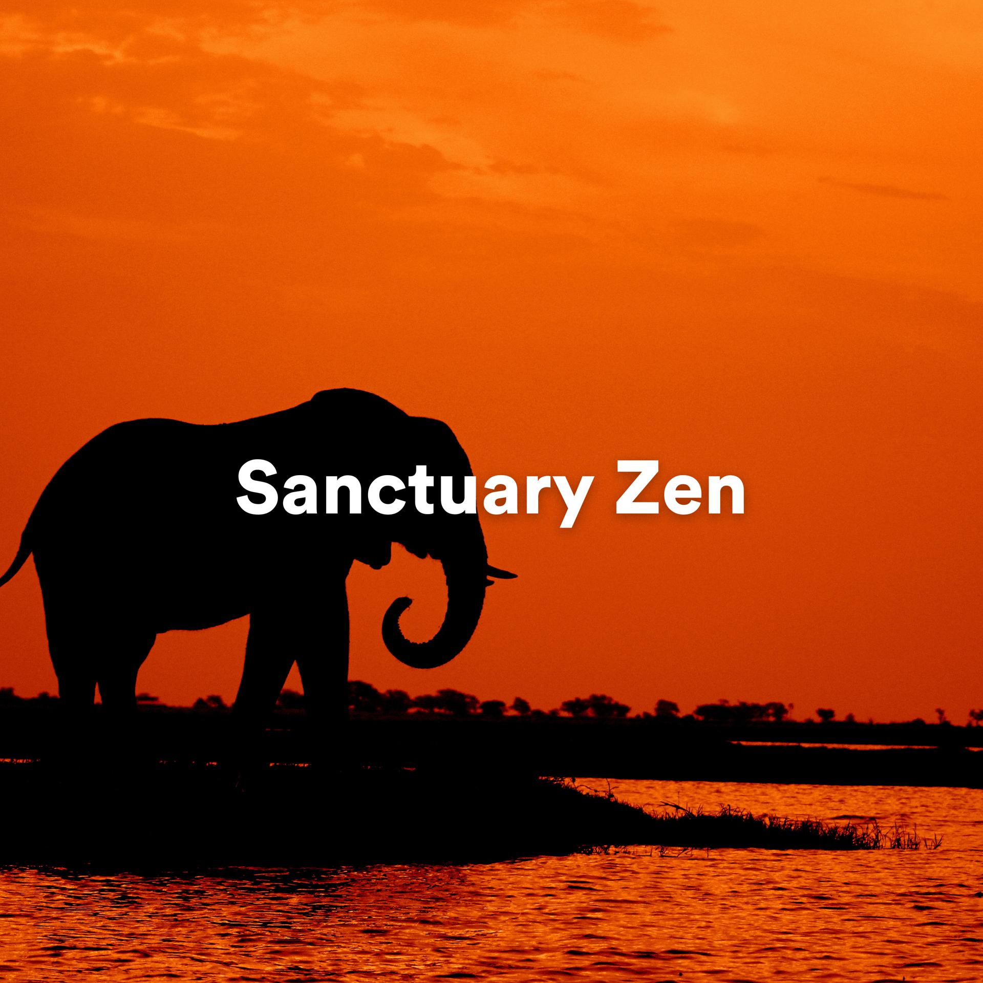 Постер альбома Sanctuary Zen