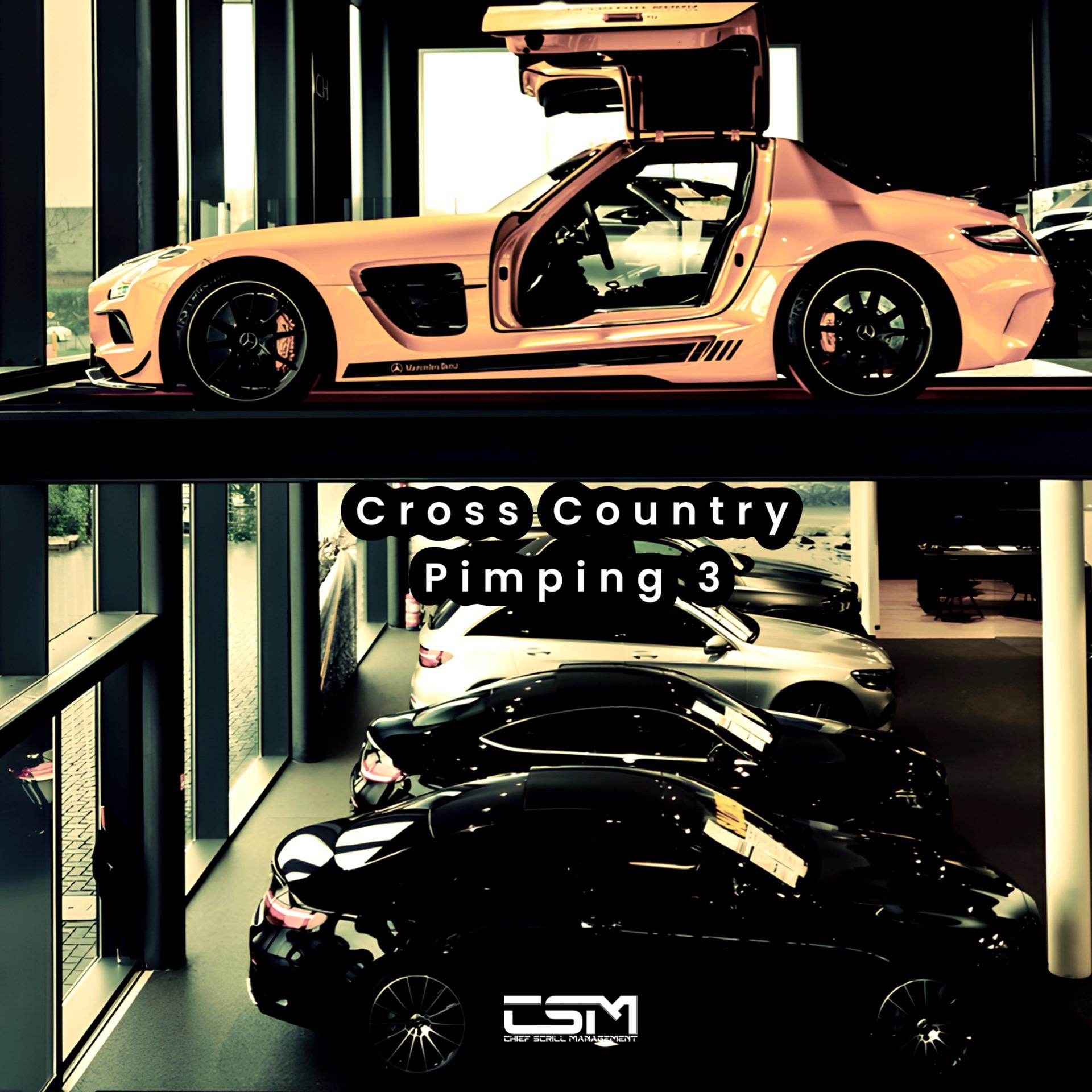 Постер альбома Cross Country Pimping 3