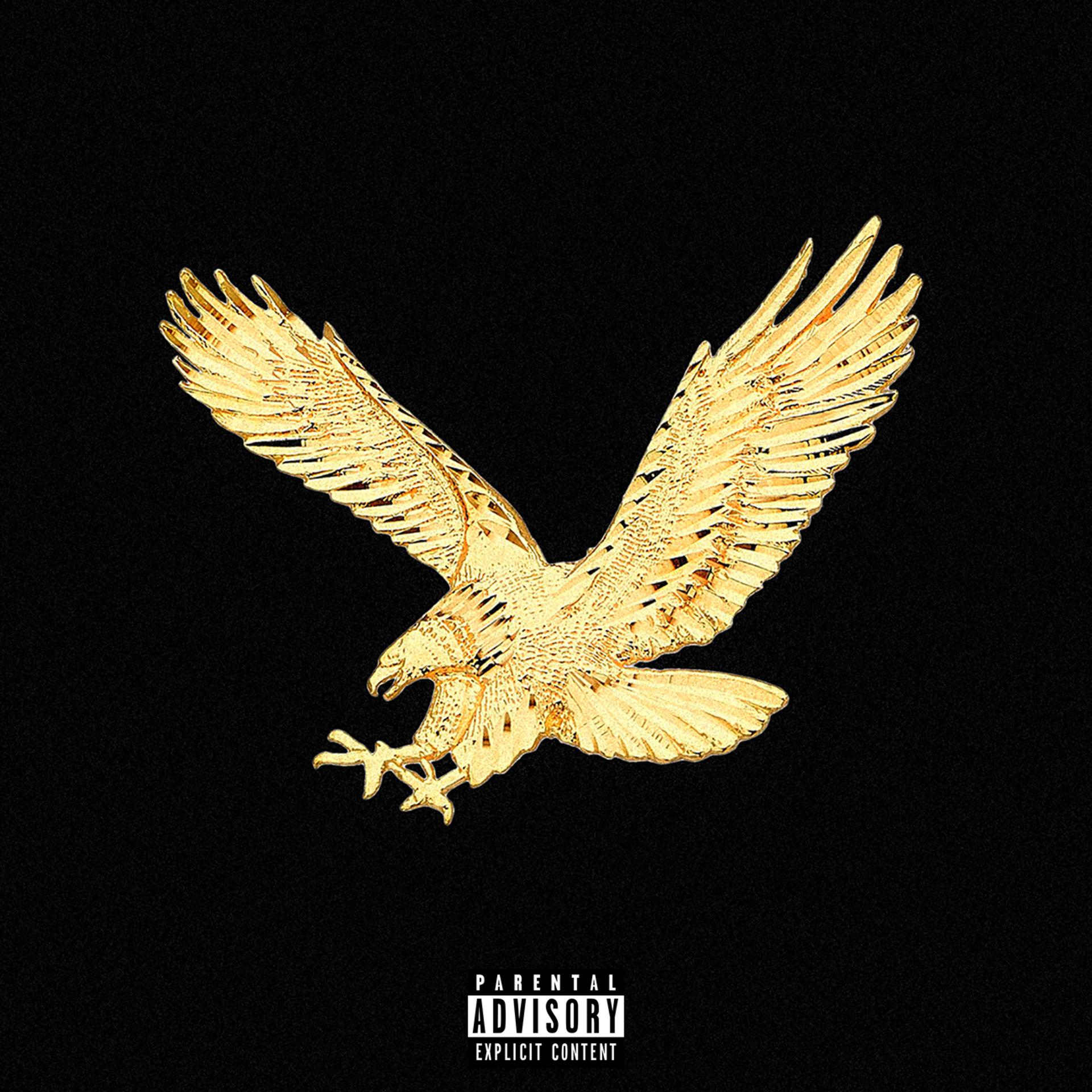 Постер альбома Eagle Remixes