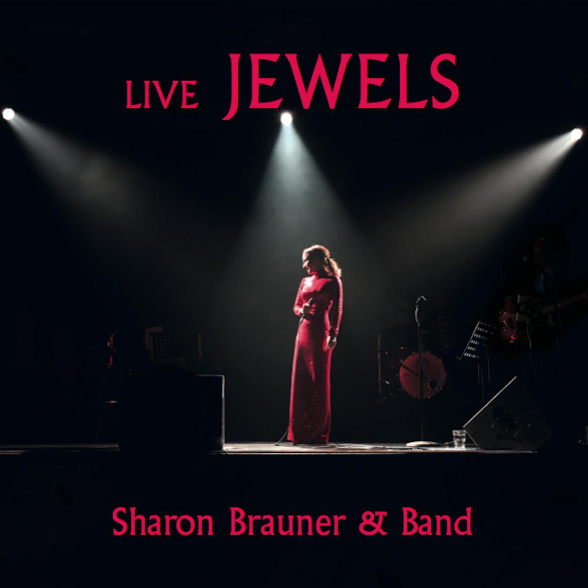 Постер альбома Live Jewels