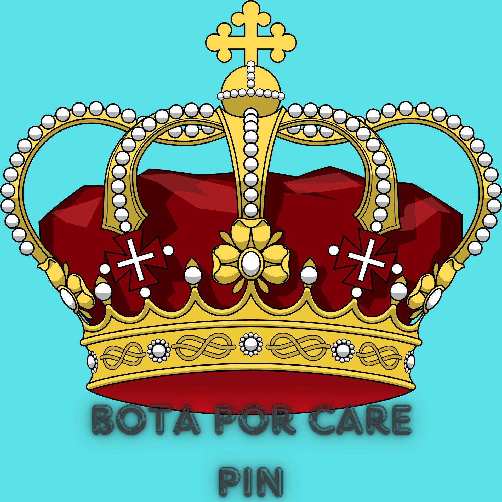 Постер альбома Bota Por Care Pin