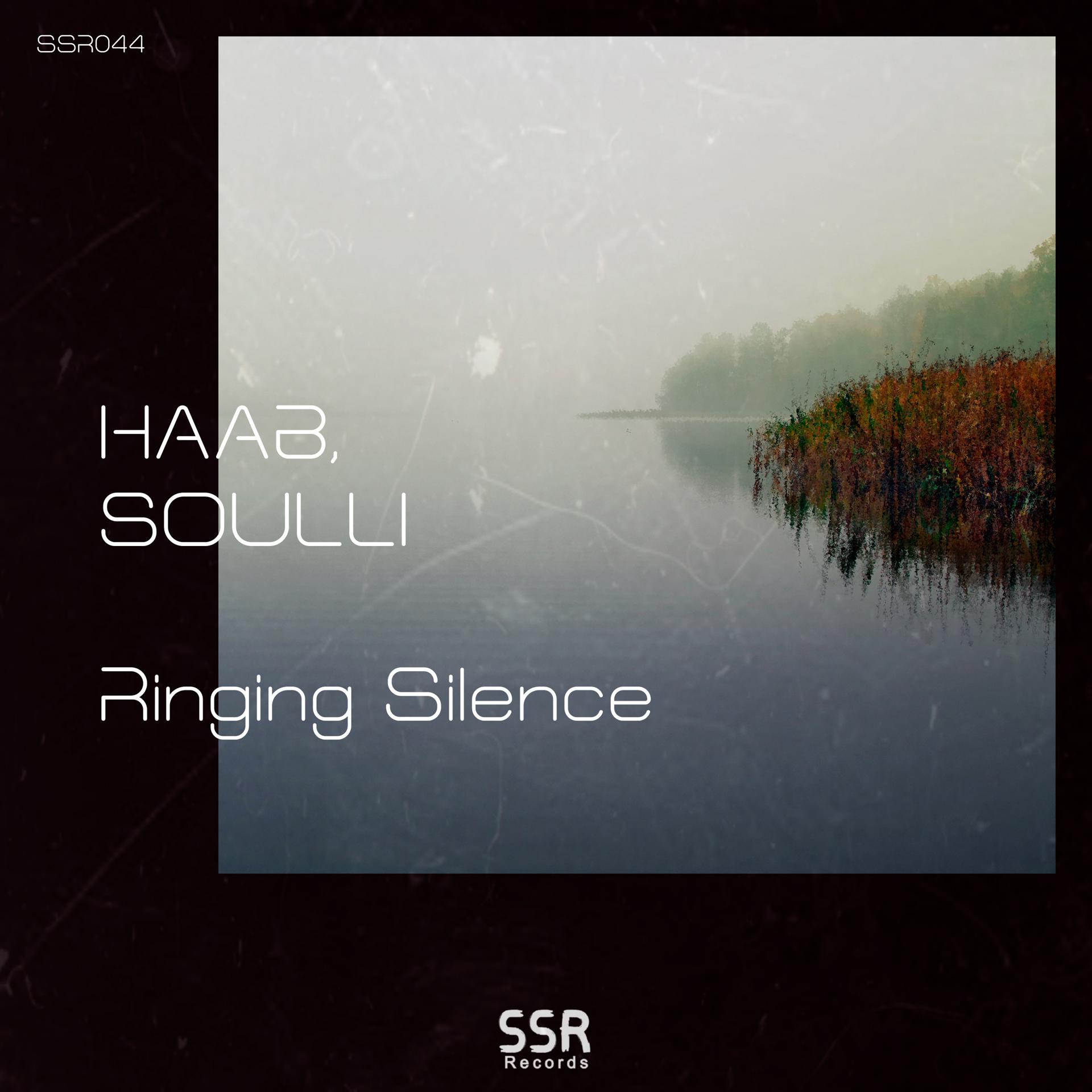 Постер альбома Ringing Silence