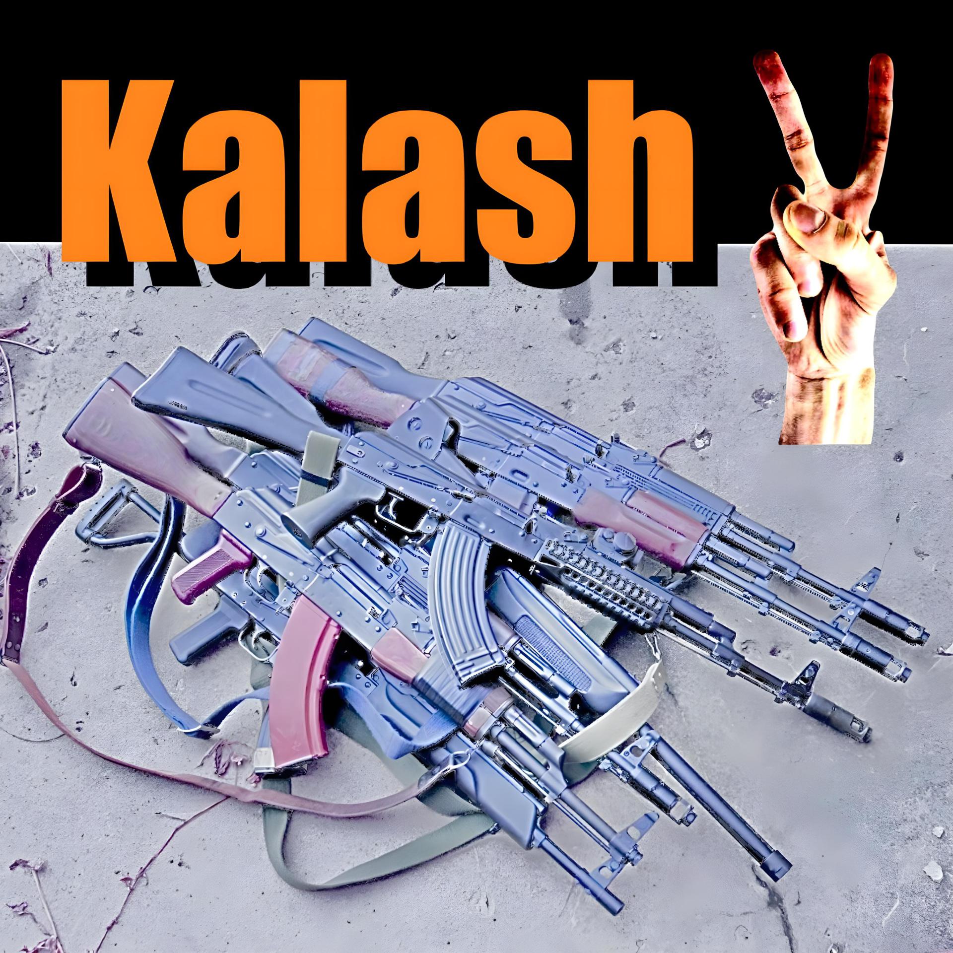 Постер альбома Kalash vol.2