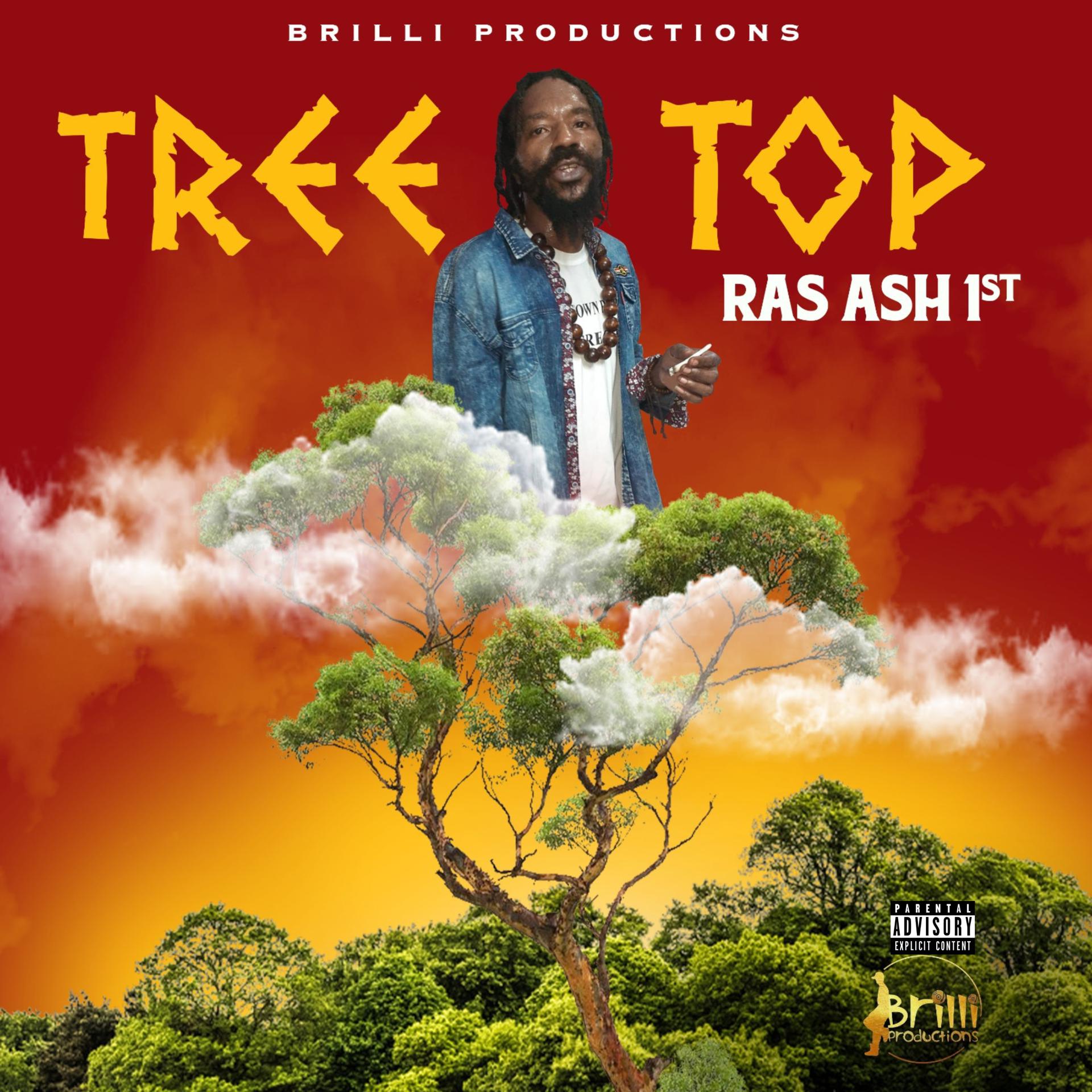 Постер альбома Tree Top