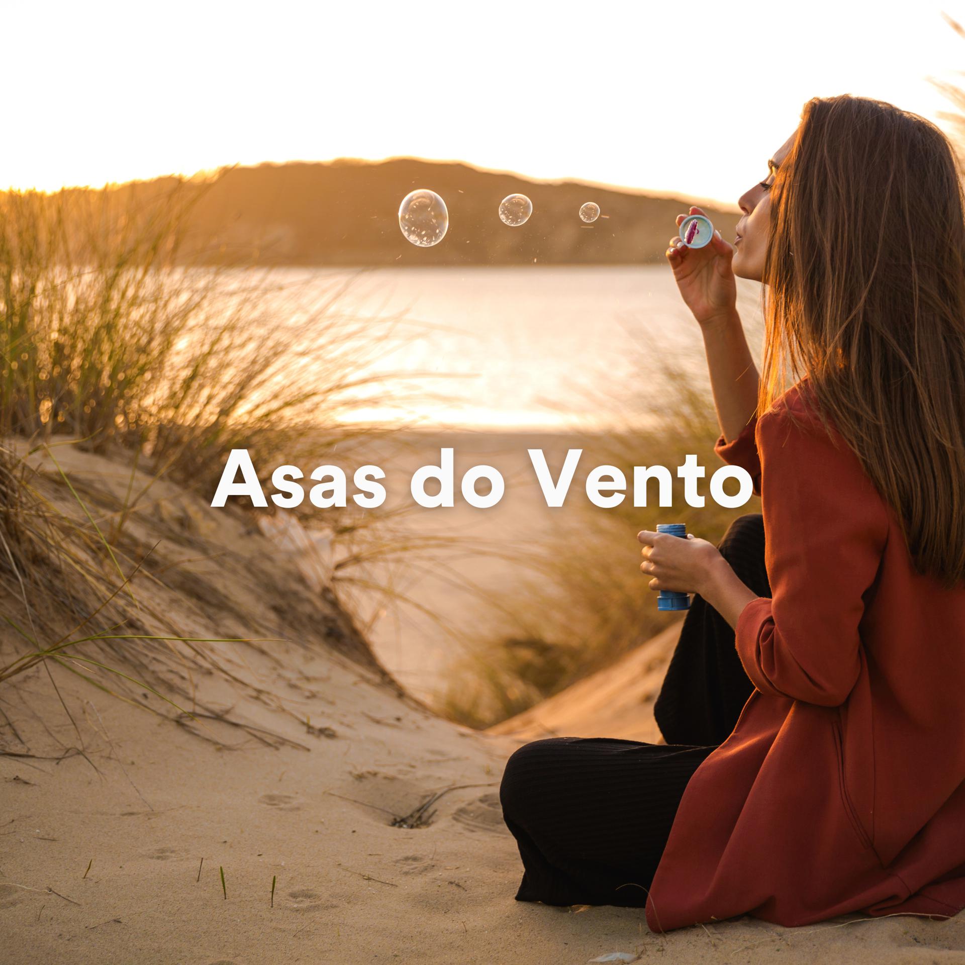 Постер альбома Asas do Vento