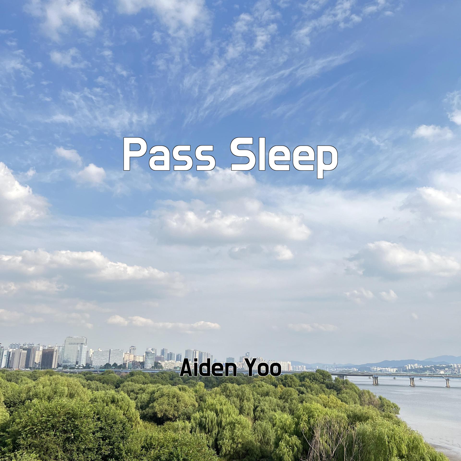 Постер альбома Pass Sleep