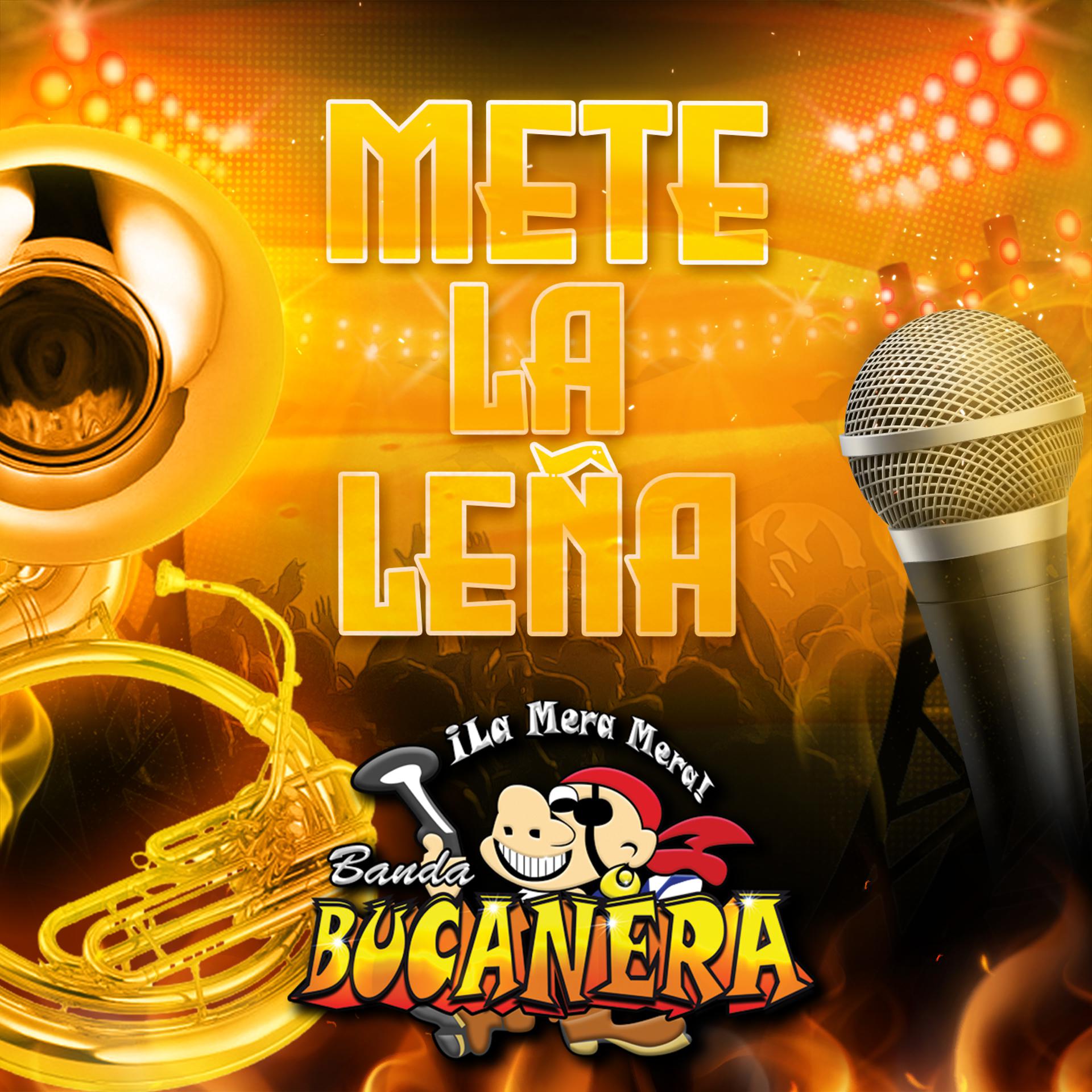 Постер альбома Mete La Leña