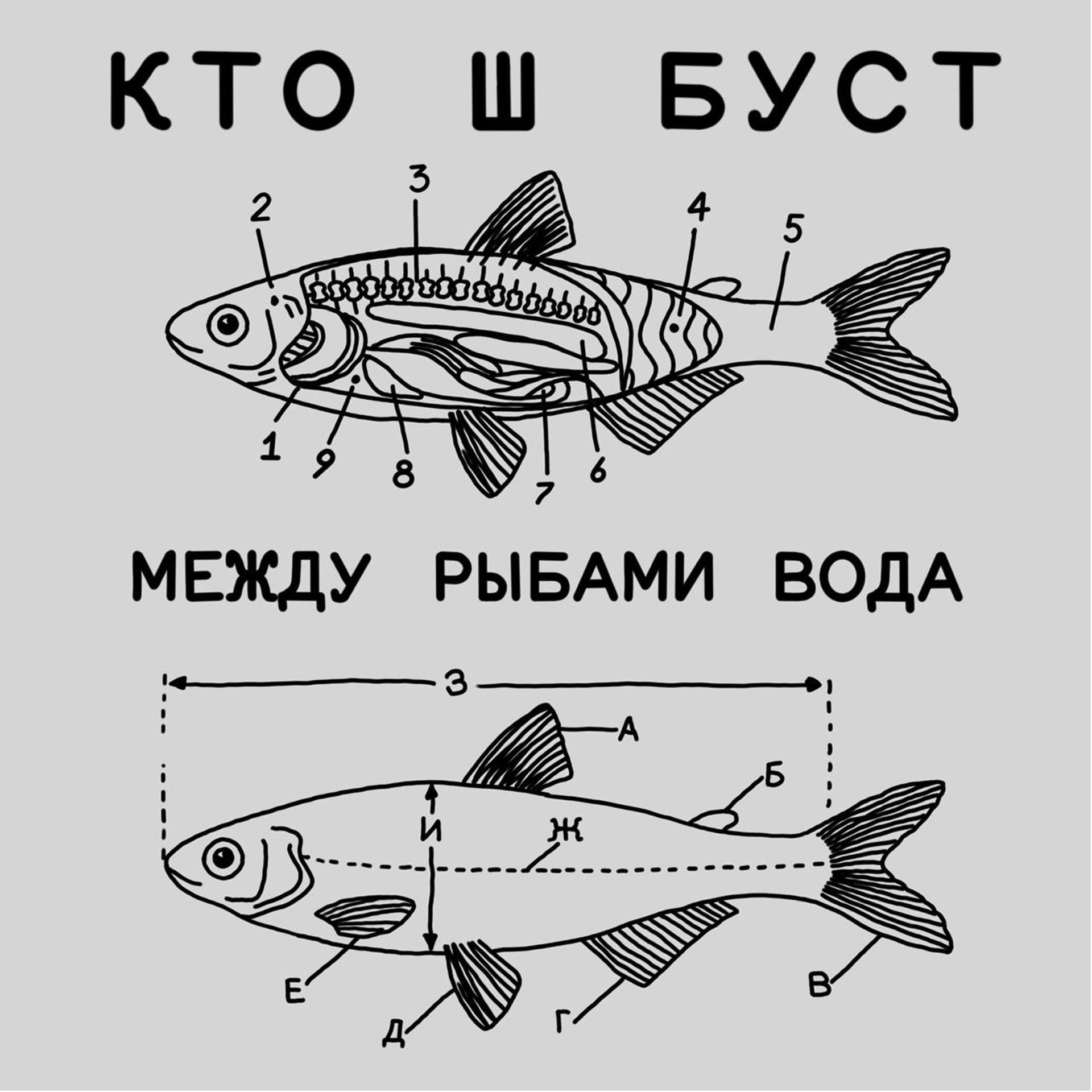 Постер альбома Между рыбами вода