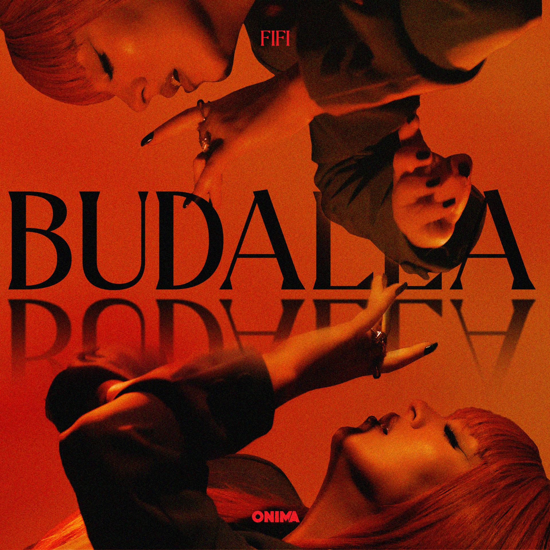Постер альбома Budalla