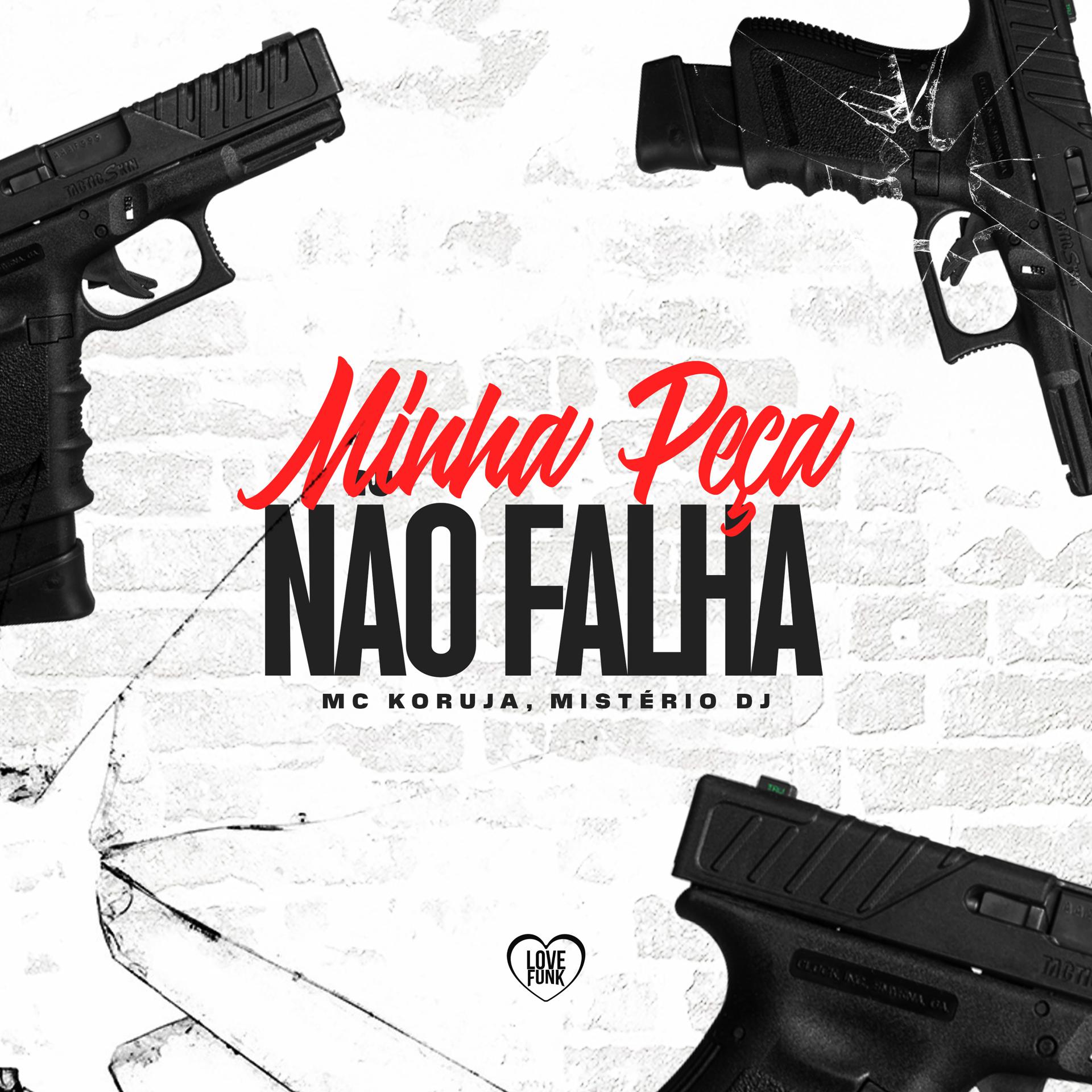 Постер альбома Minha Peça Nao Falha