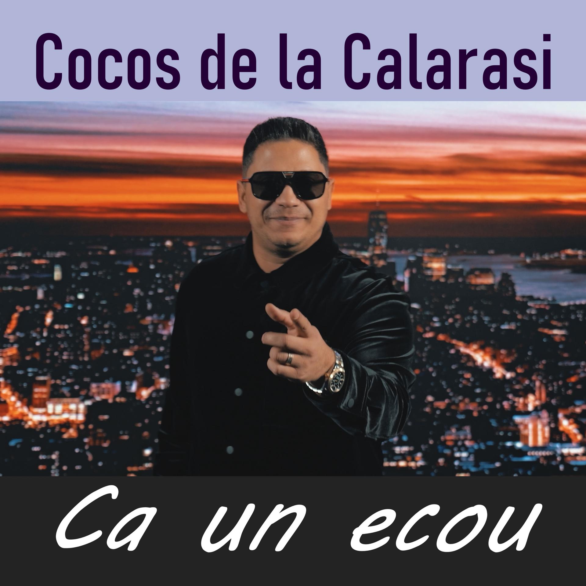 Постер альбома Ca un ecou