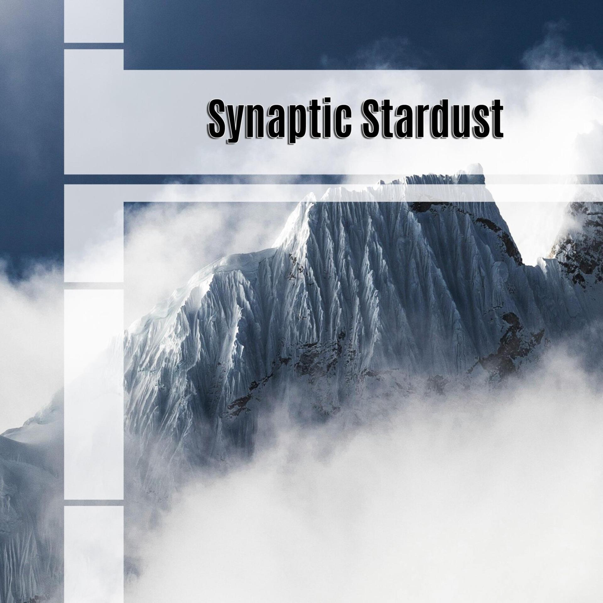 Постер альбома Synaptic Stardust