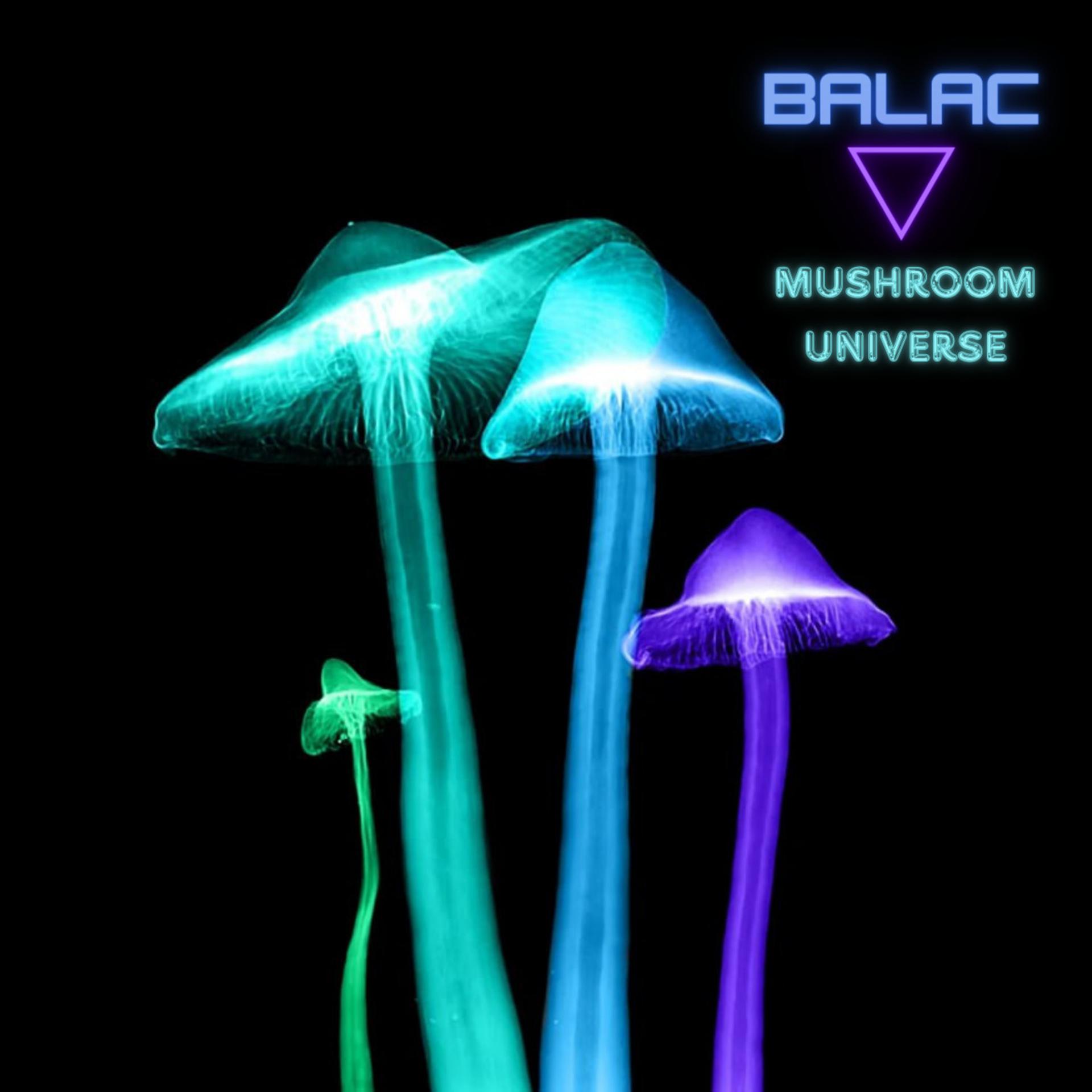 Постер альбома Mushroom Universe
