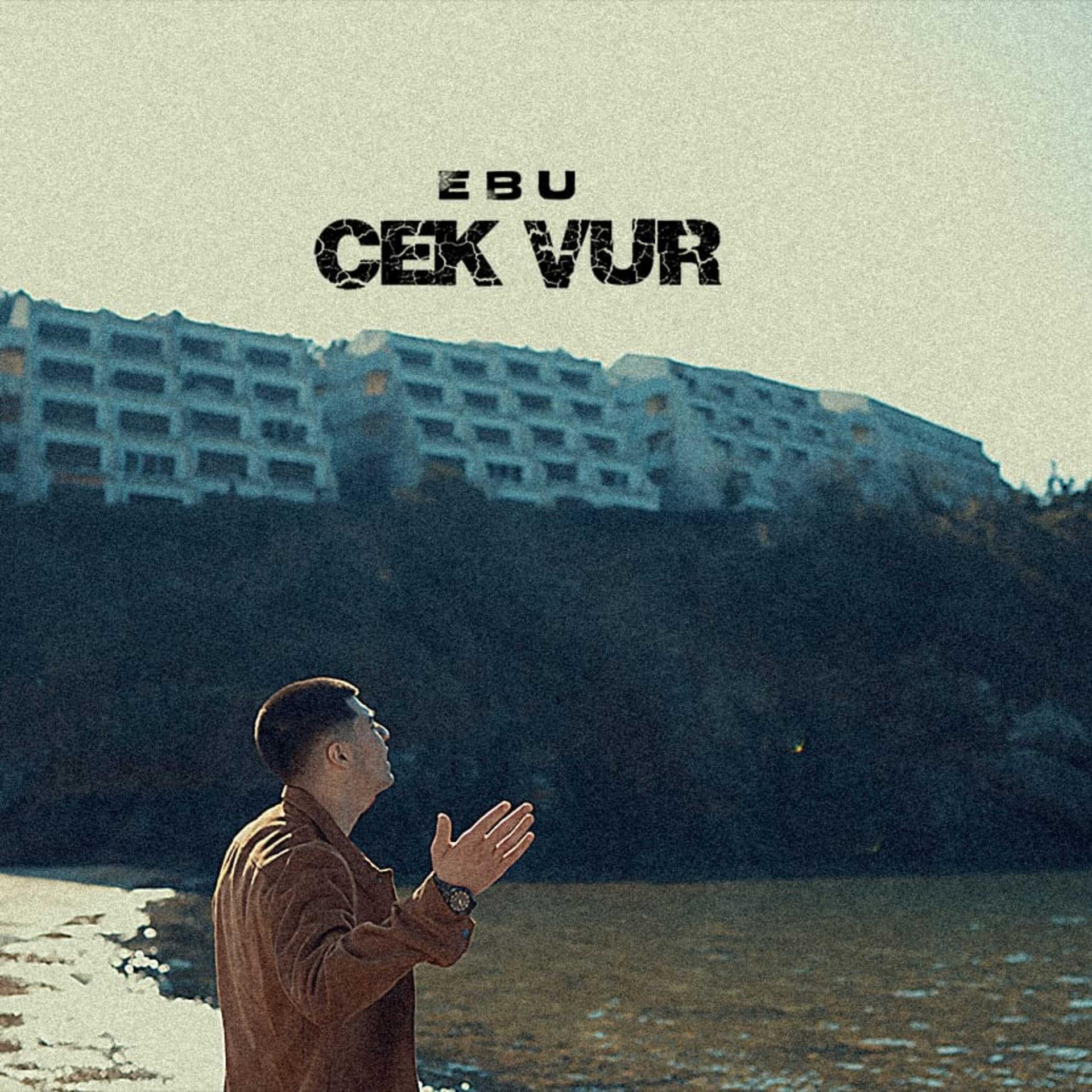 Постер альбома ÇEK VUR