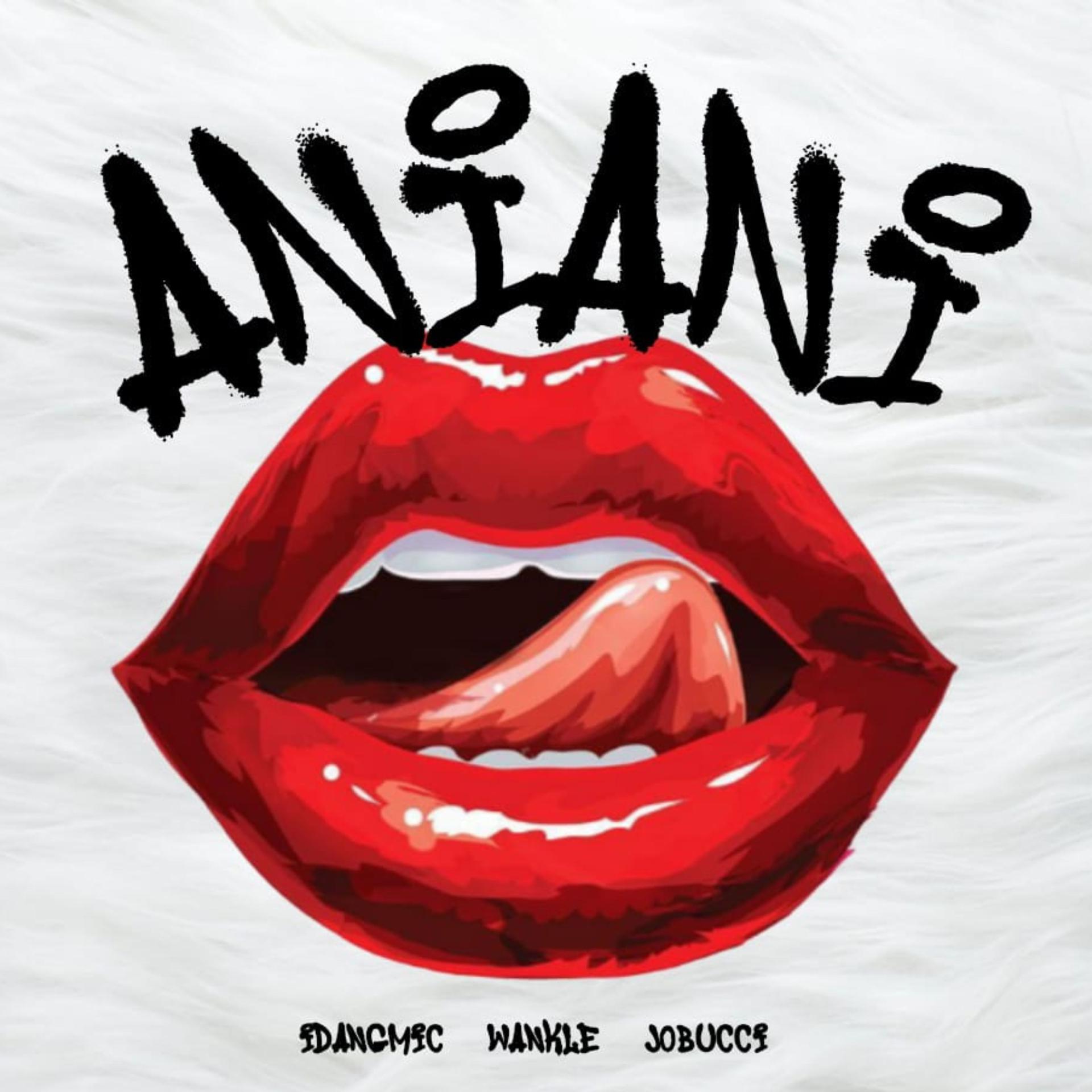 Постер альбома AniAni