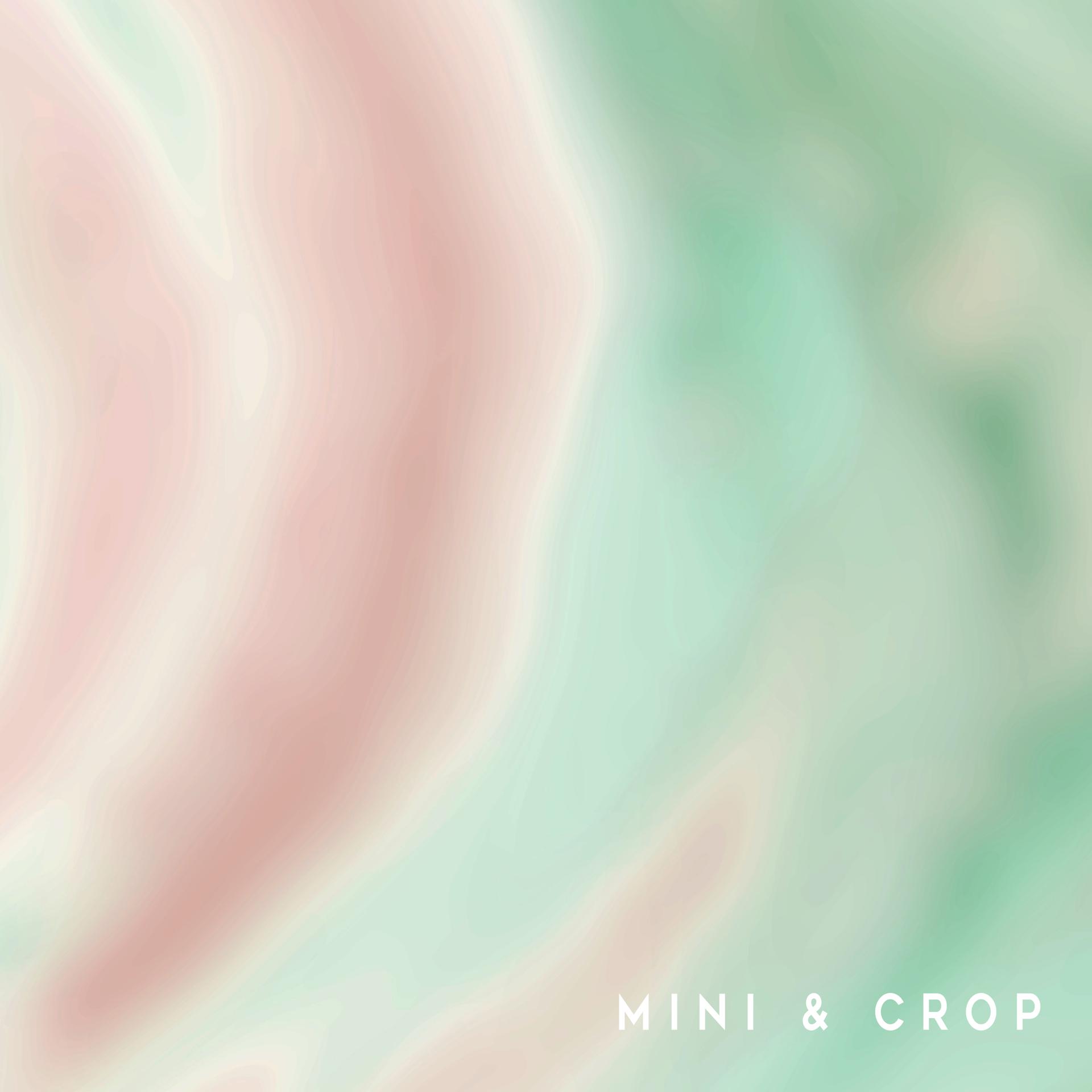Постер альбома Mini & Crop