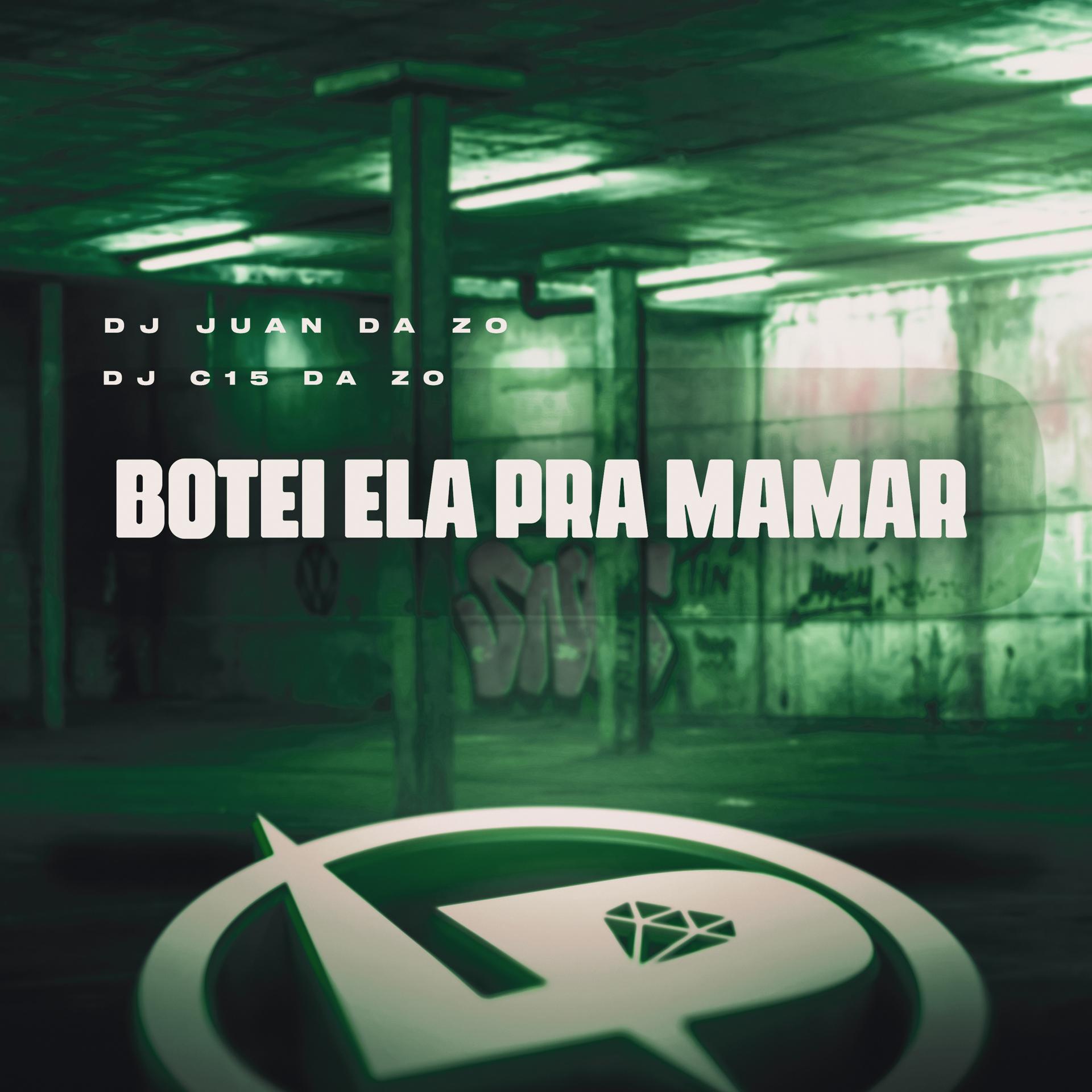 Постер альбома Botei Ela pra Mamar