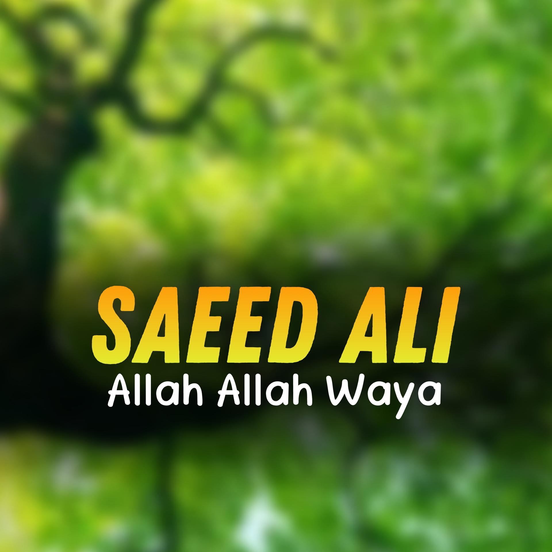 Постер альбома Allah Allah Waya