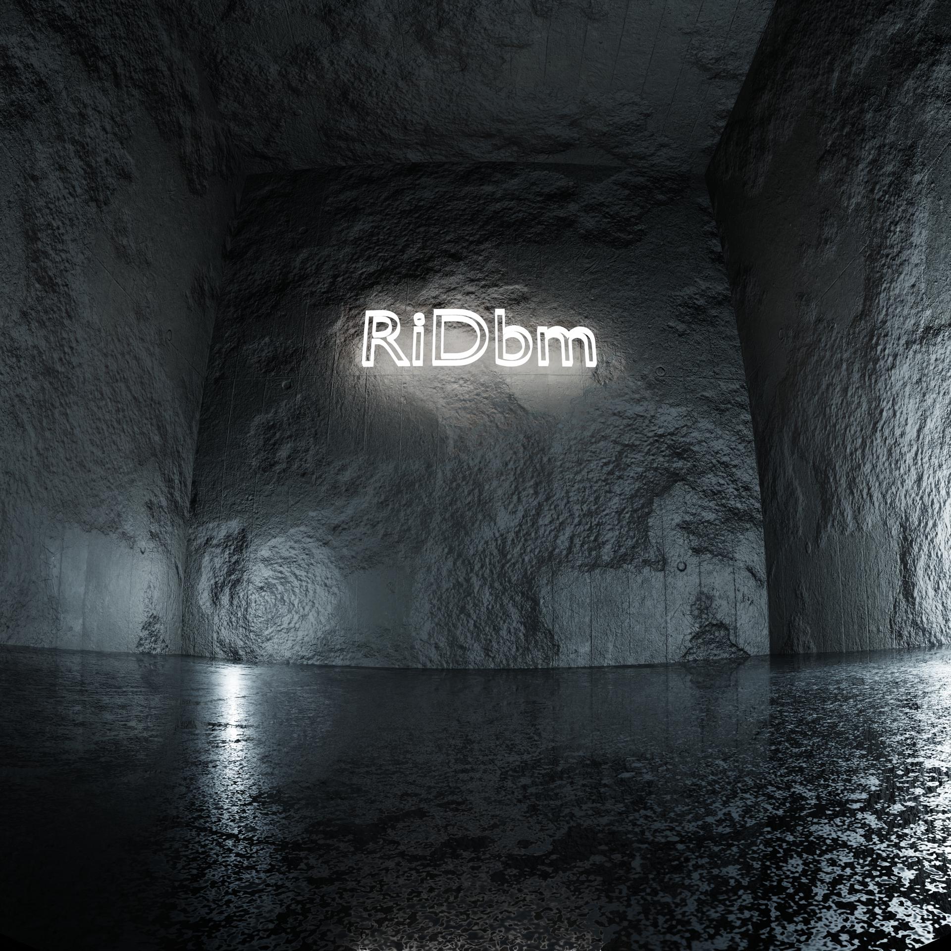 Постер альбома Ridbm