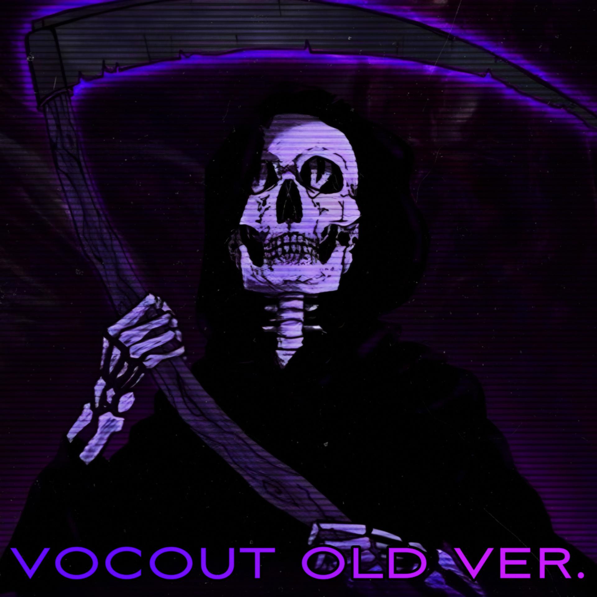 Постер альбома Vocout
