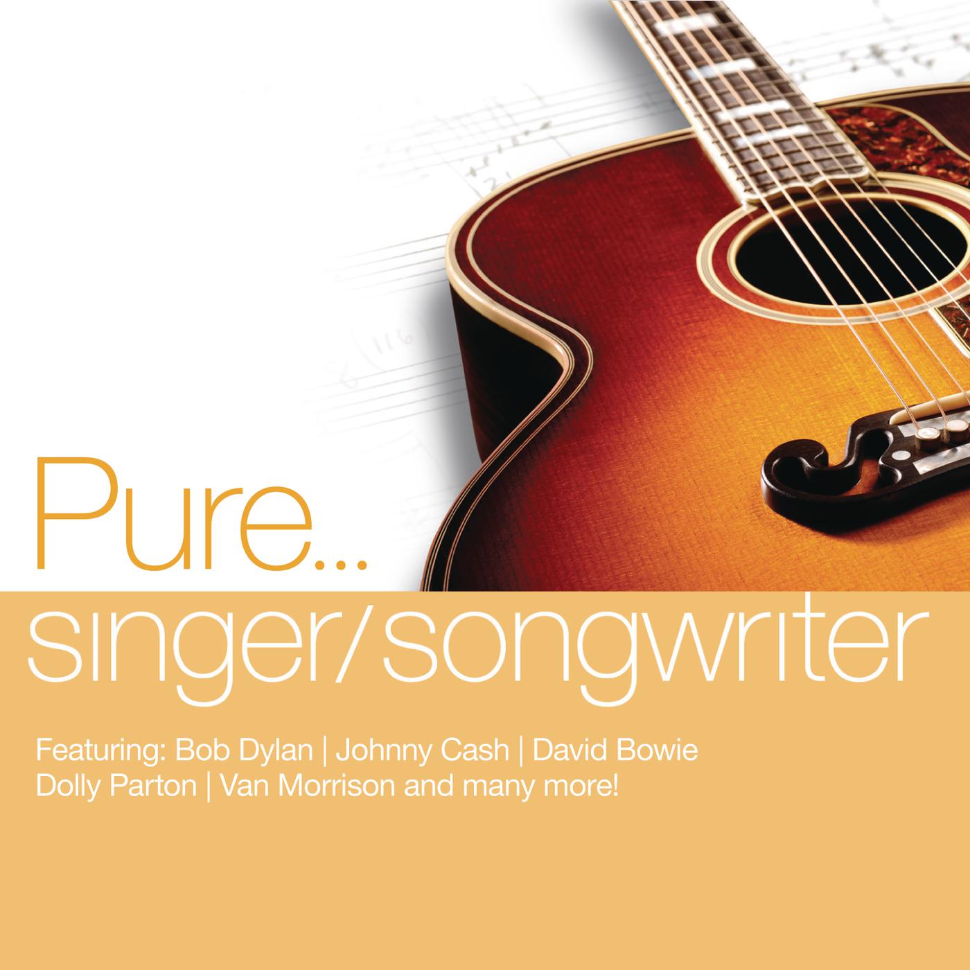 Постер альбома Pure... Singer Songwriters