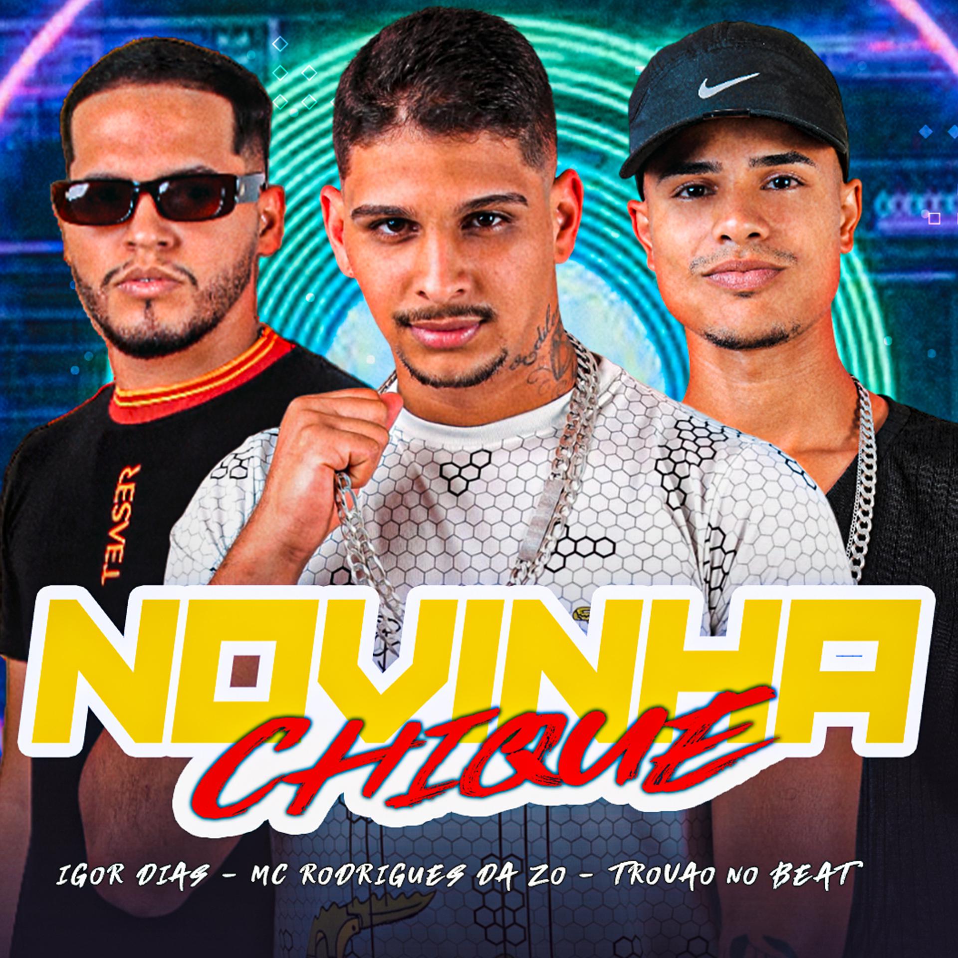 Постер альбома Novinha Chique