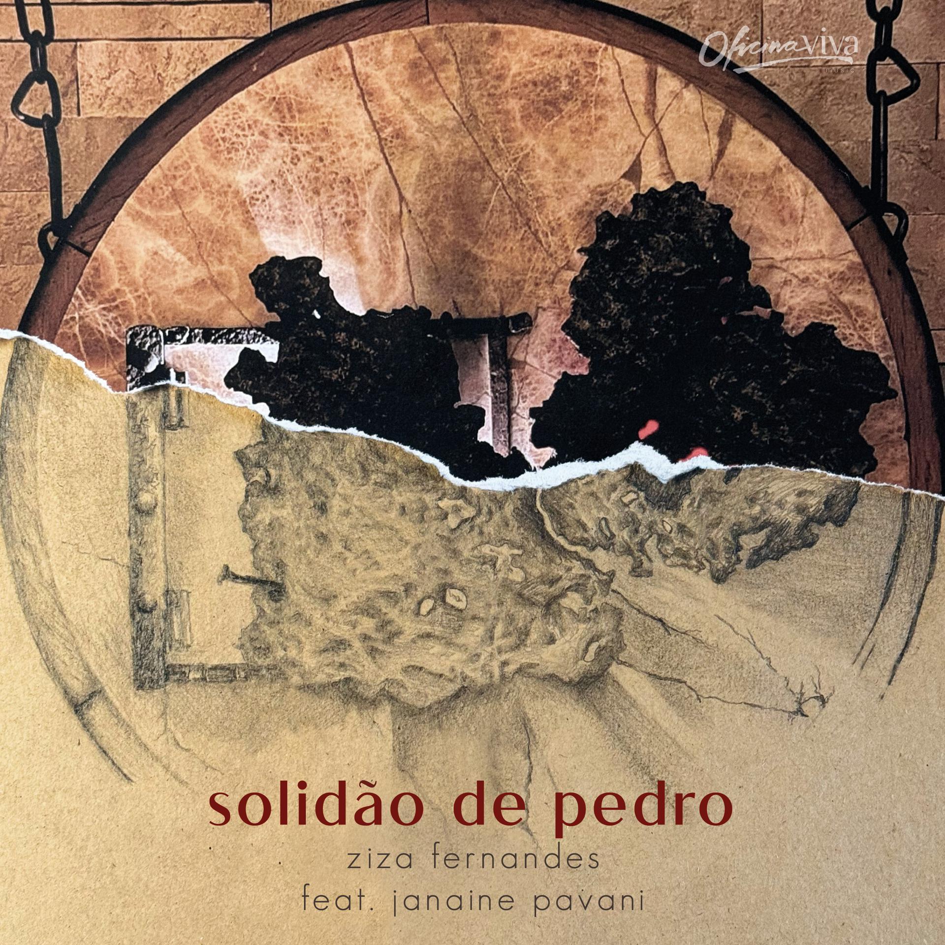 Постер альбома Solidão de Pedro