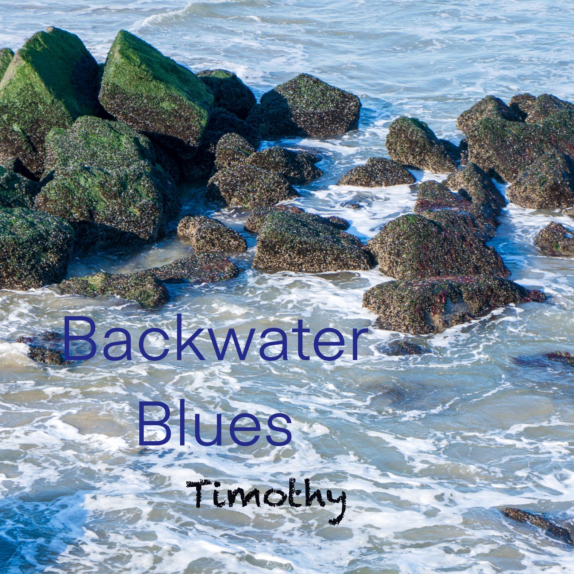 Постер альбома Backwater Blues