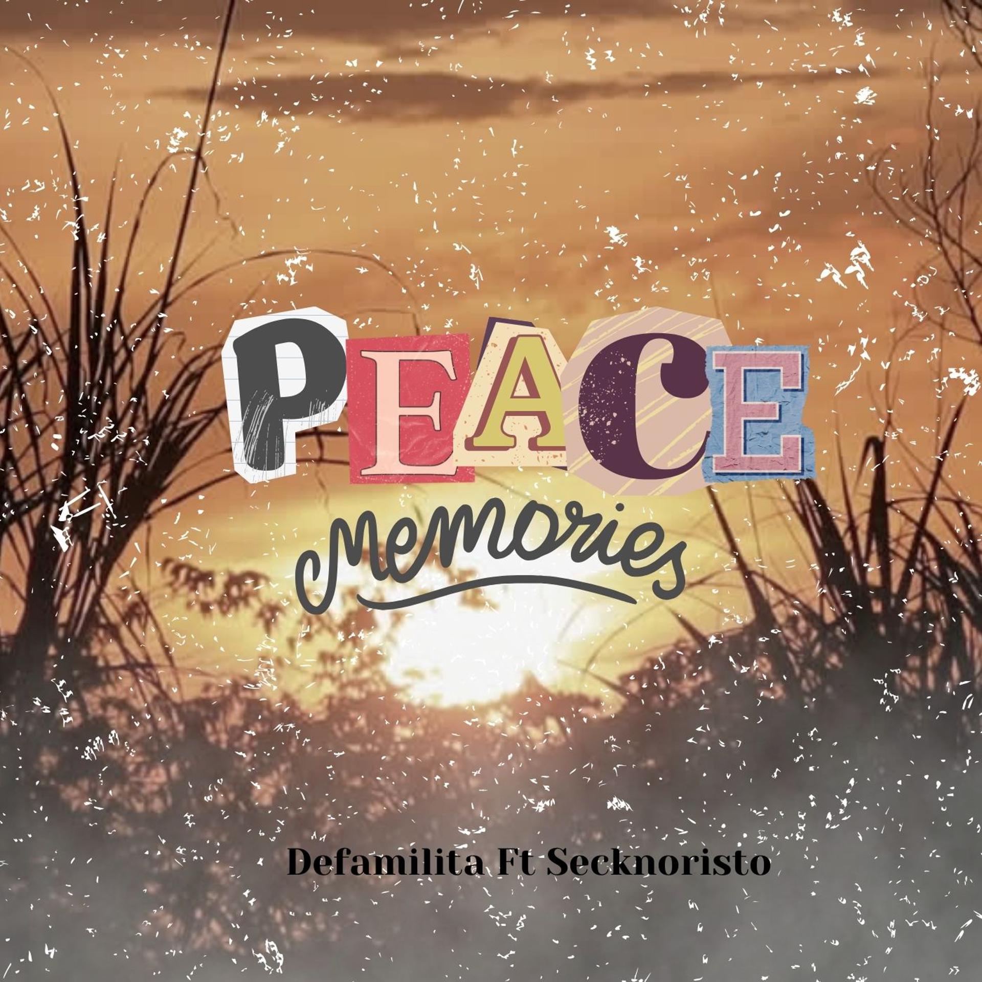 Постер альбома Peace Memory