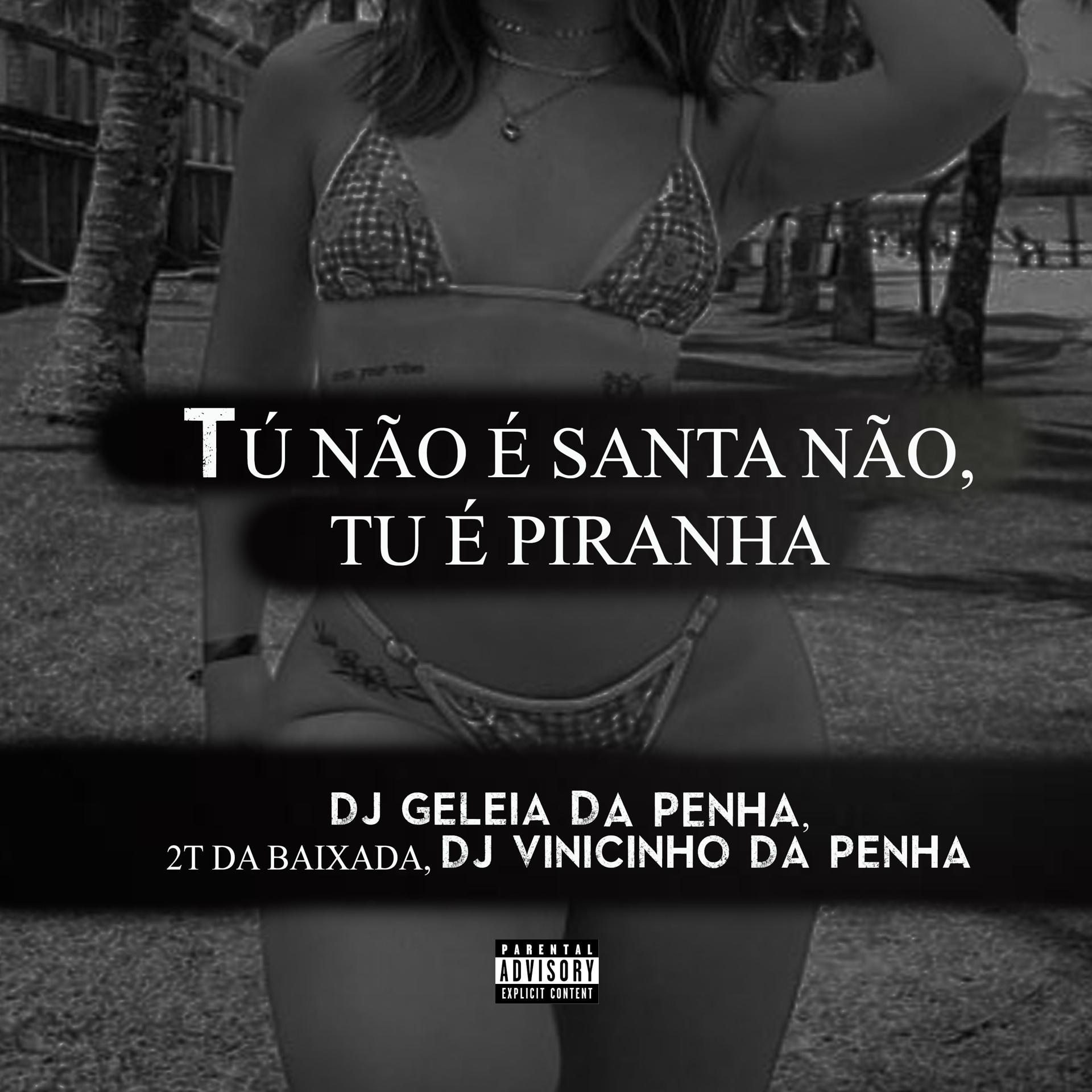Постер альбома Tu Não É Santa Não, Tu É Piranha