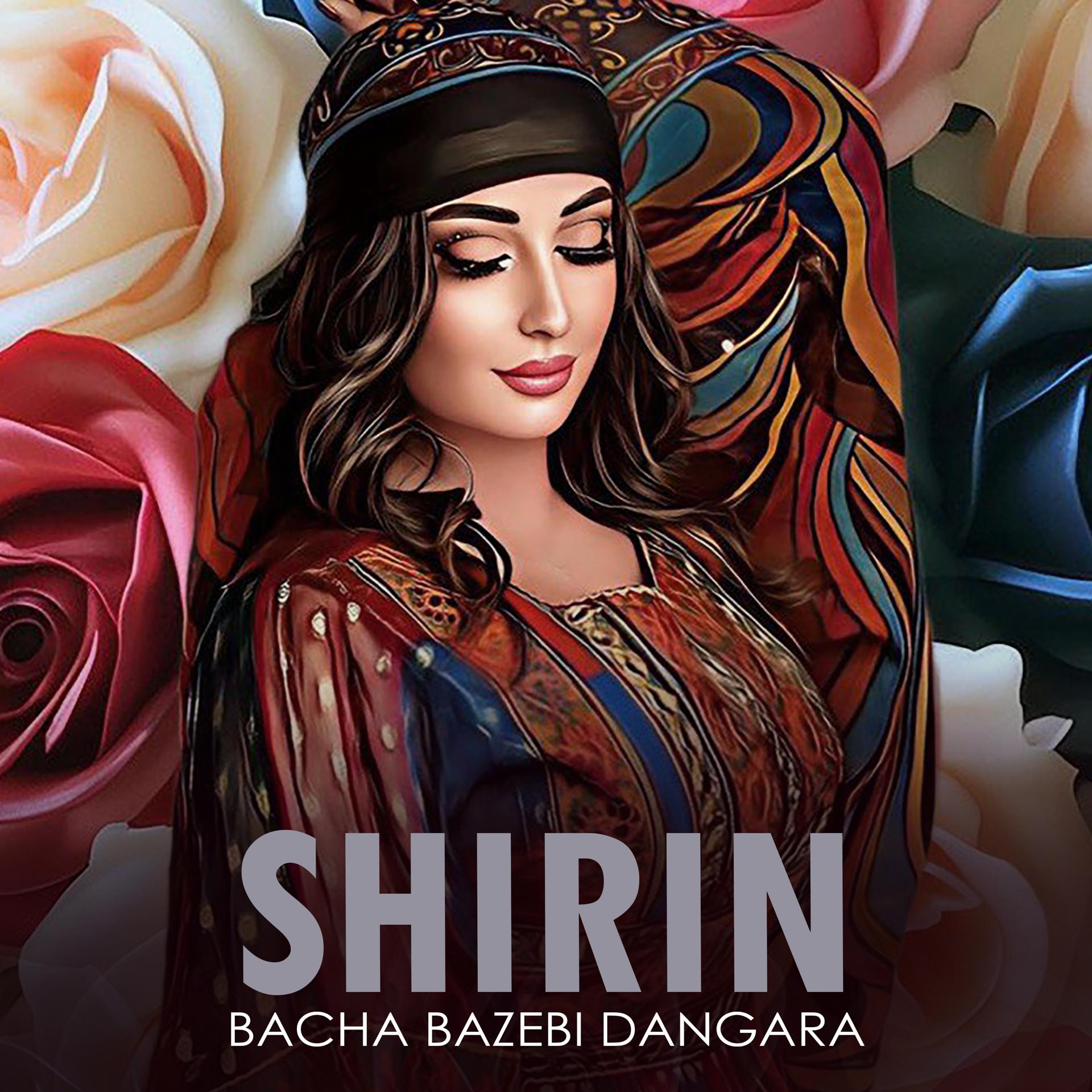 Постер альбома Bacha Bazebi Dangara