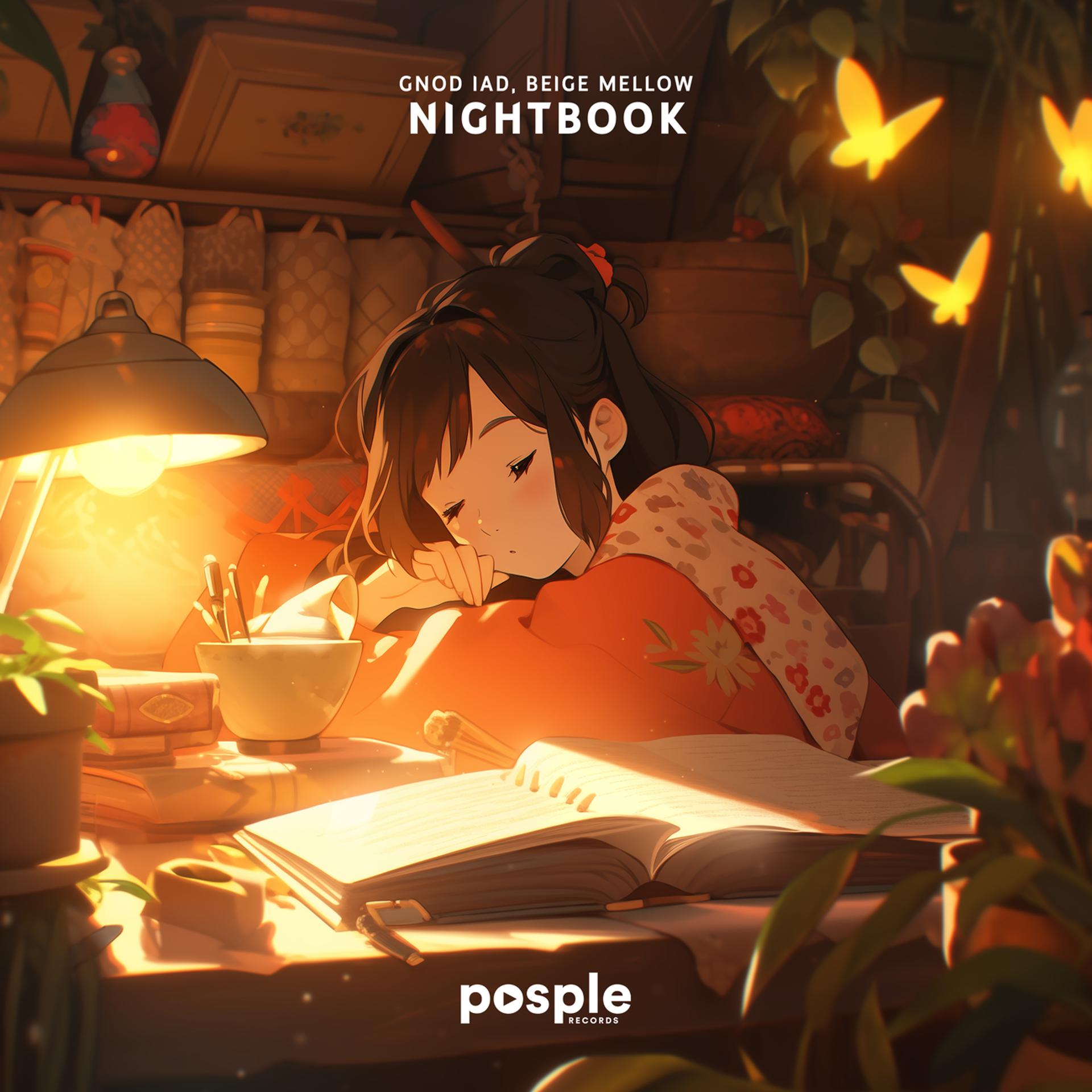 Постер альбома Nightbook