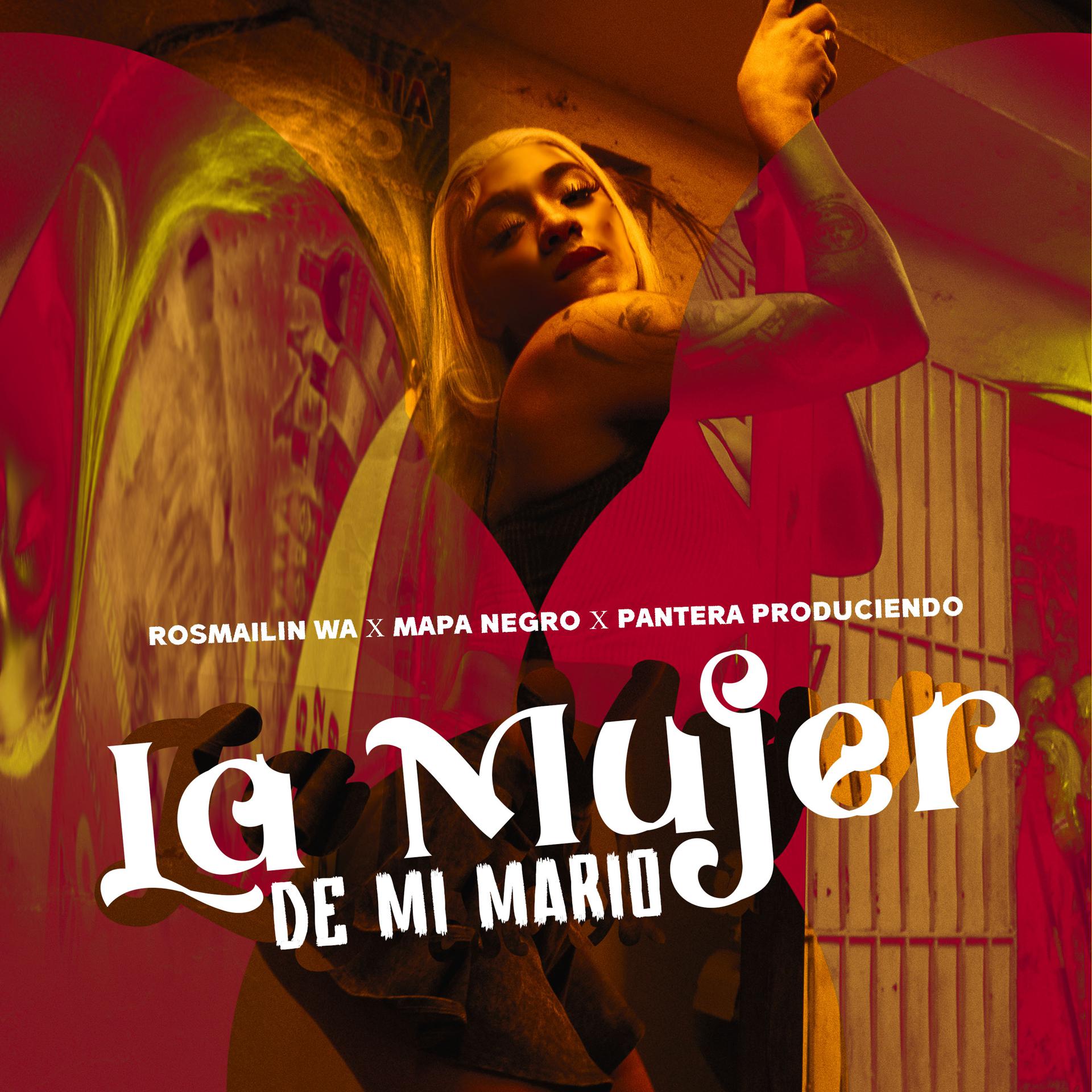 Постер альбома La Mujer de Mi Mario