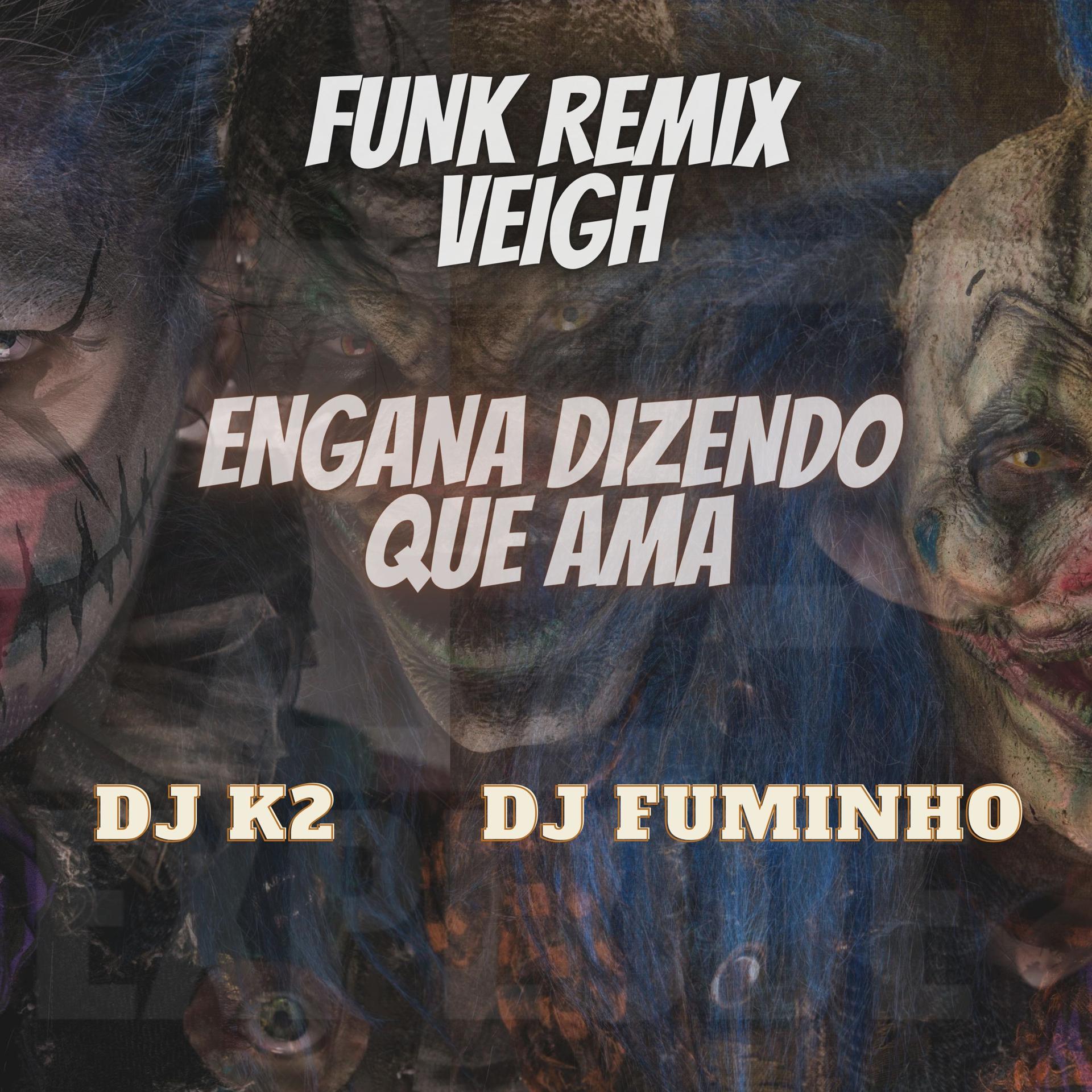 Постер альбома Funk Remix Veigh Engana Dizendo Que Ama