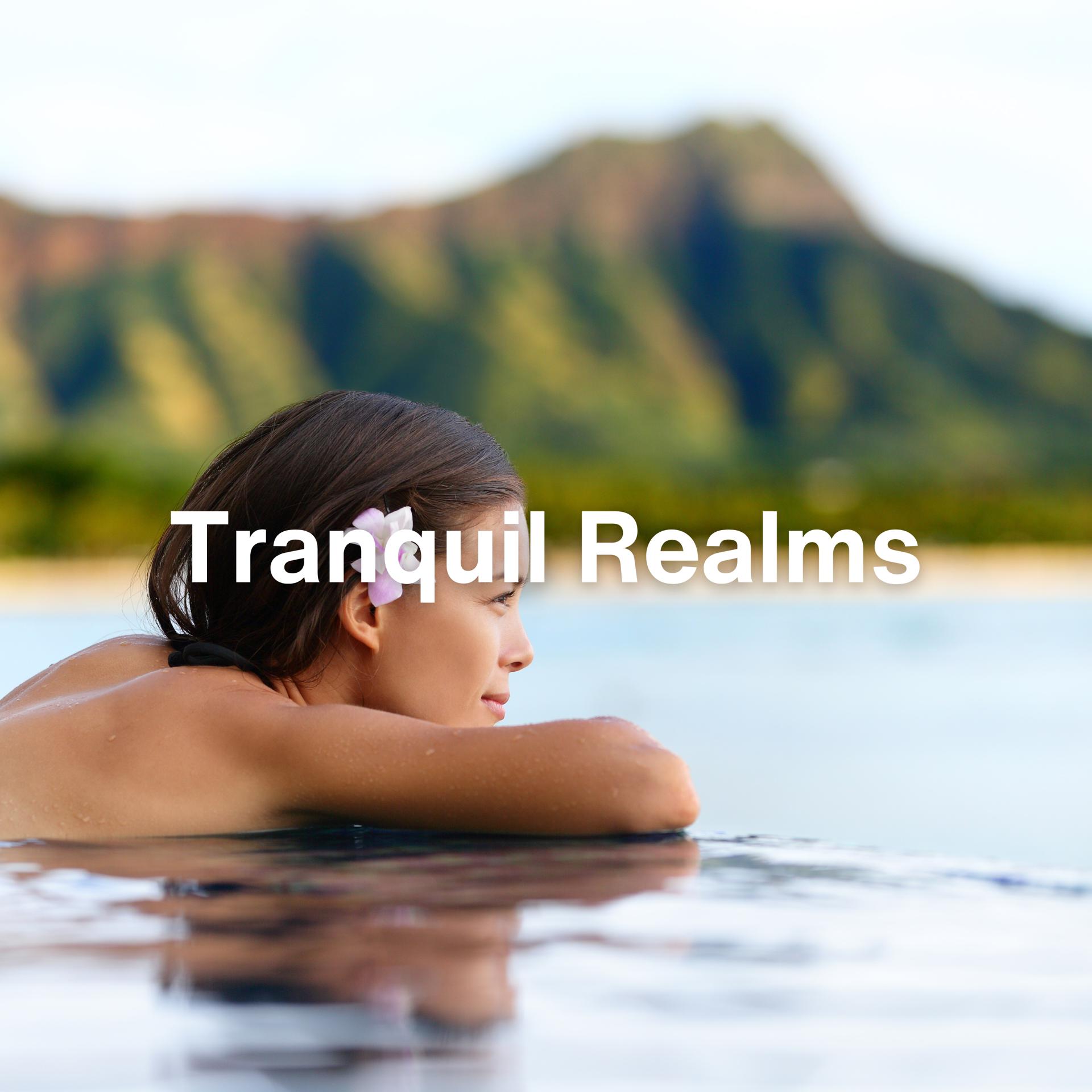 Постер альбома Tranquil Realms