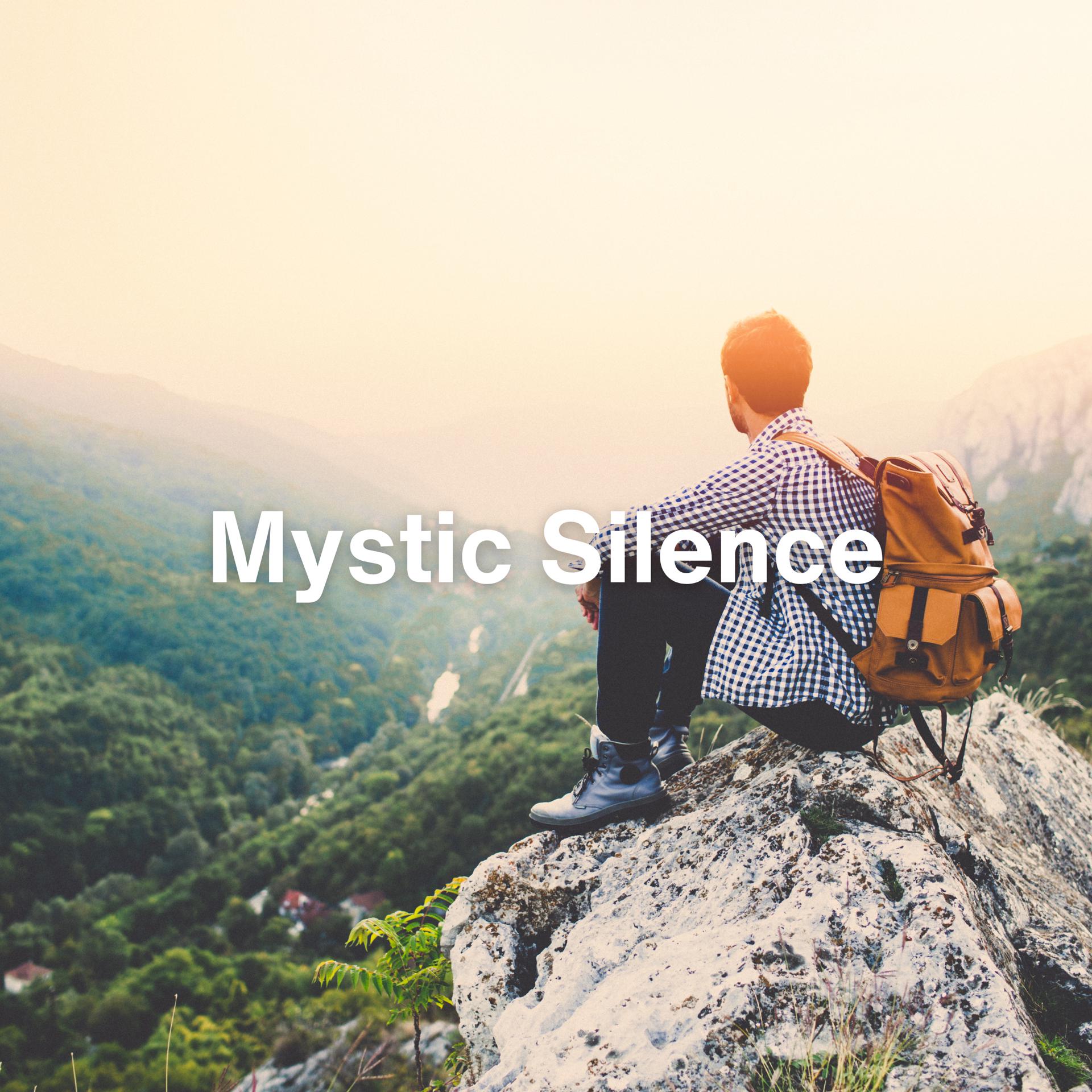 Постер альбома Mystic Silence