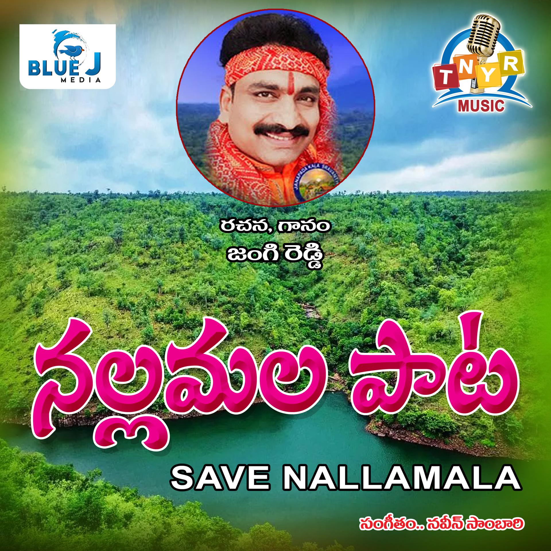 Постер альбома Nallamala