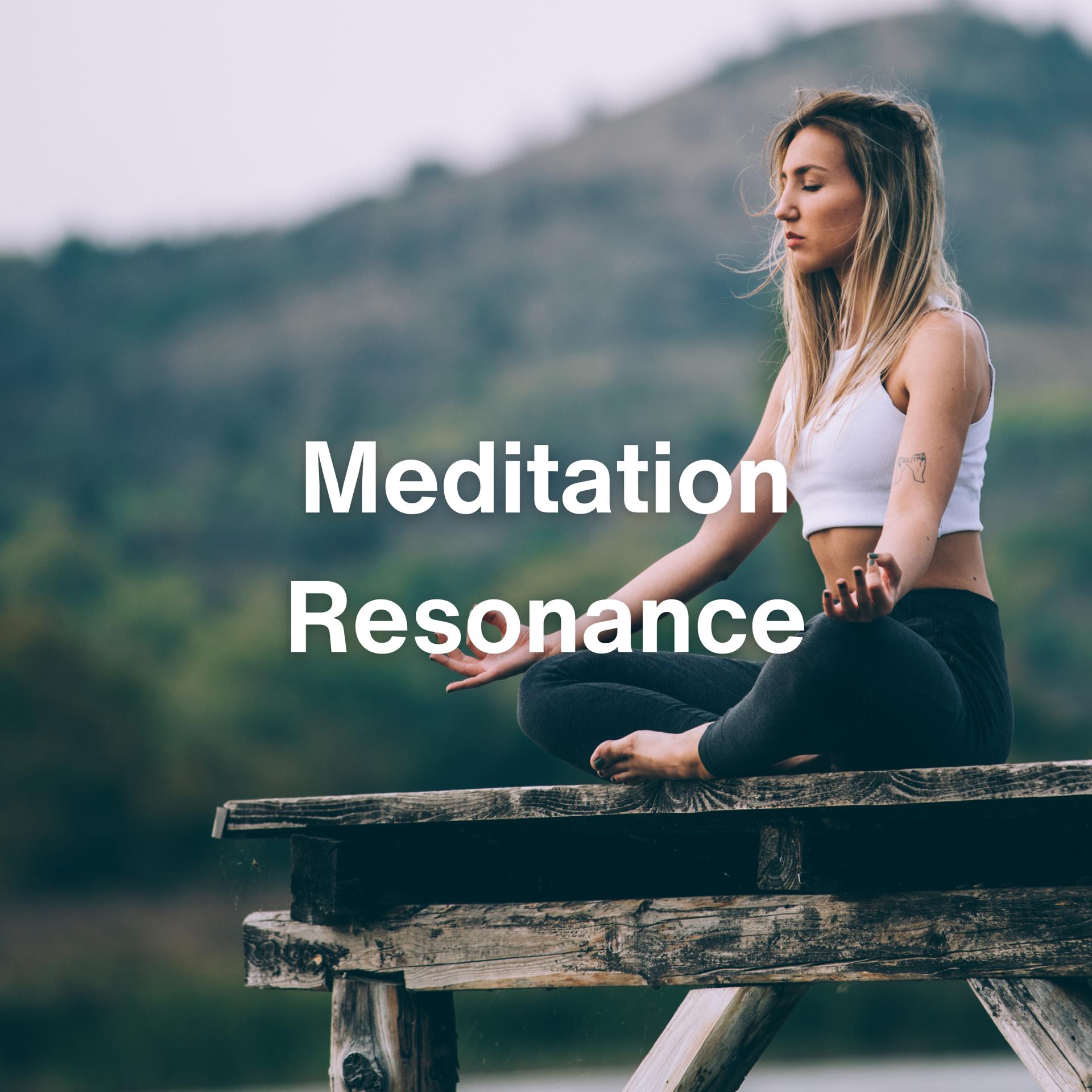 Постер альбома Meditation Resonance
