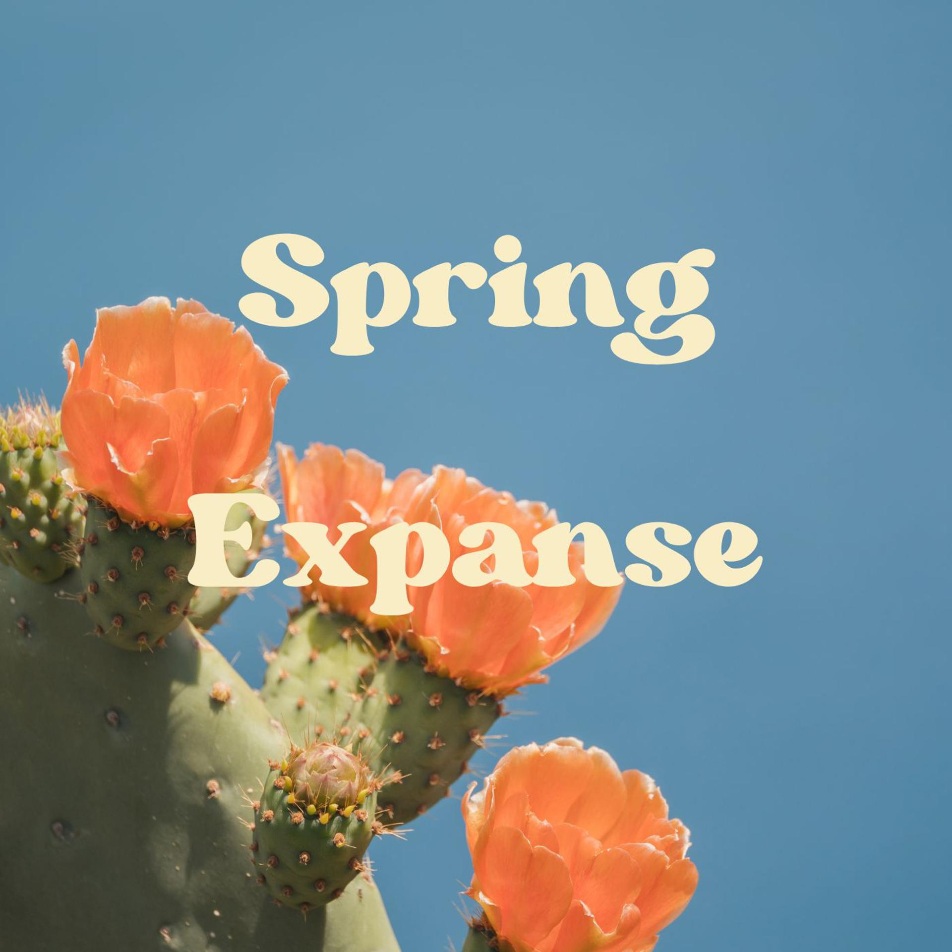 Постер альбома Spring Expanse