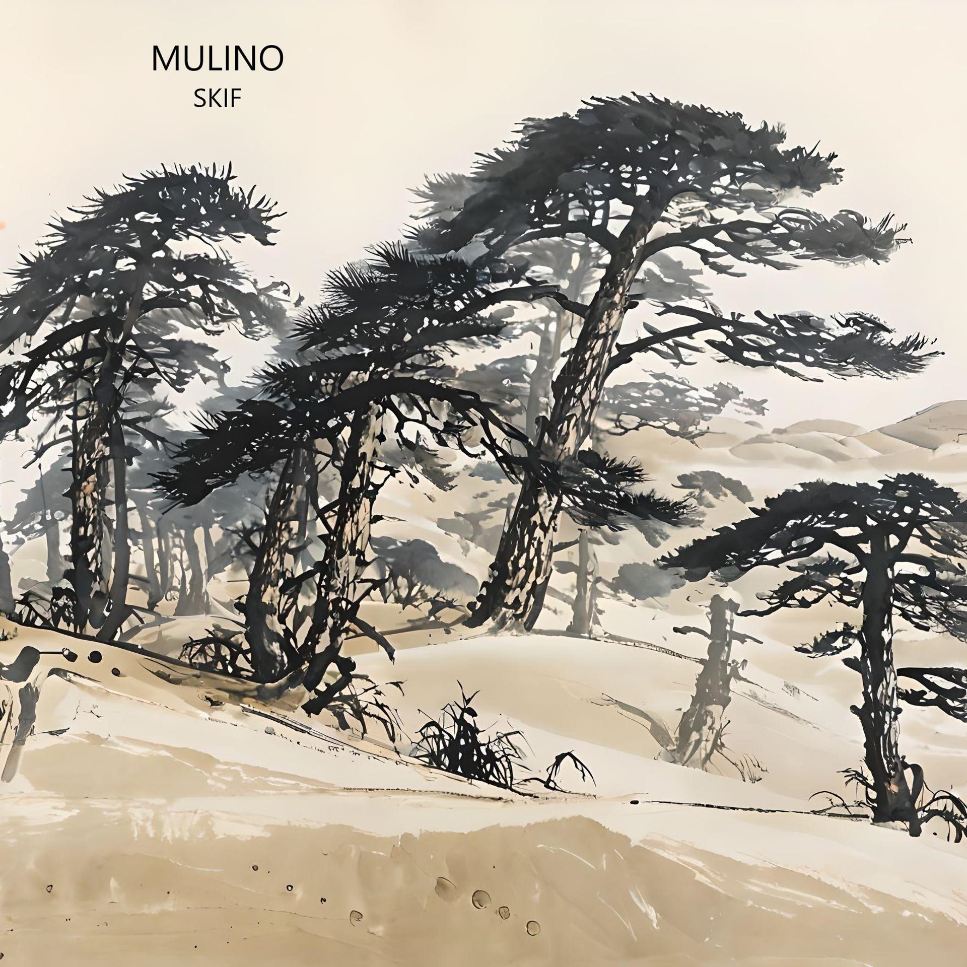Постер альбома Mulino