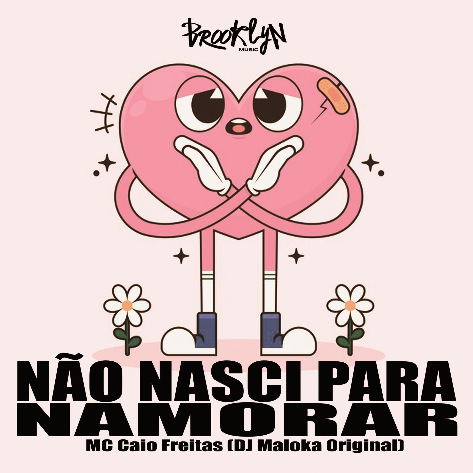 Постер альбома Nao Nasci para Namorar