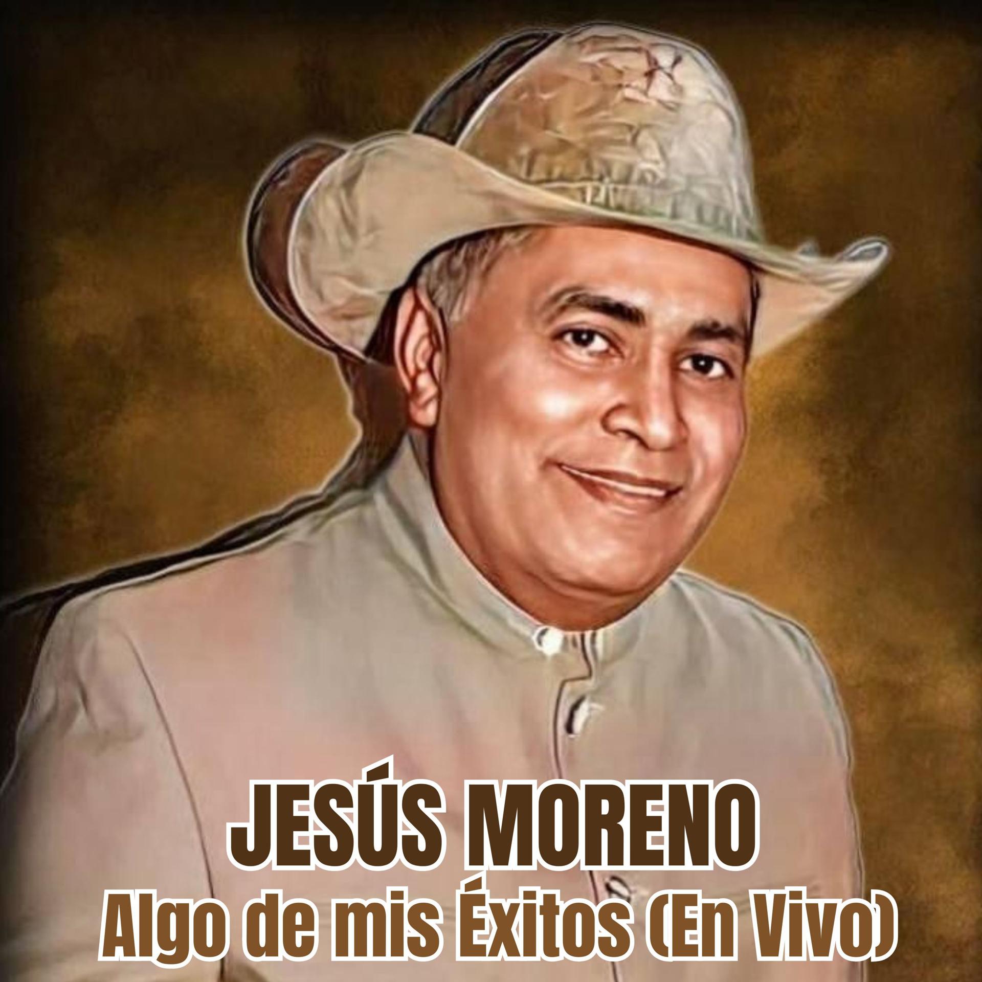 Постер альбома Algo de Mis Éxitos
