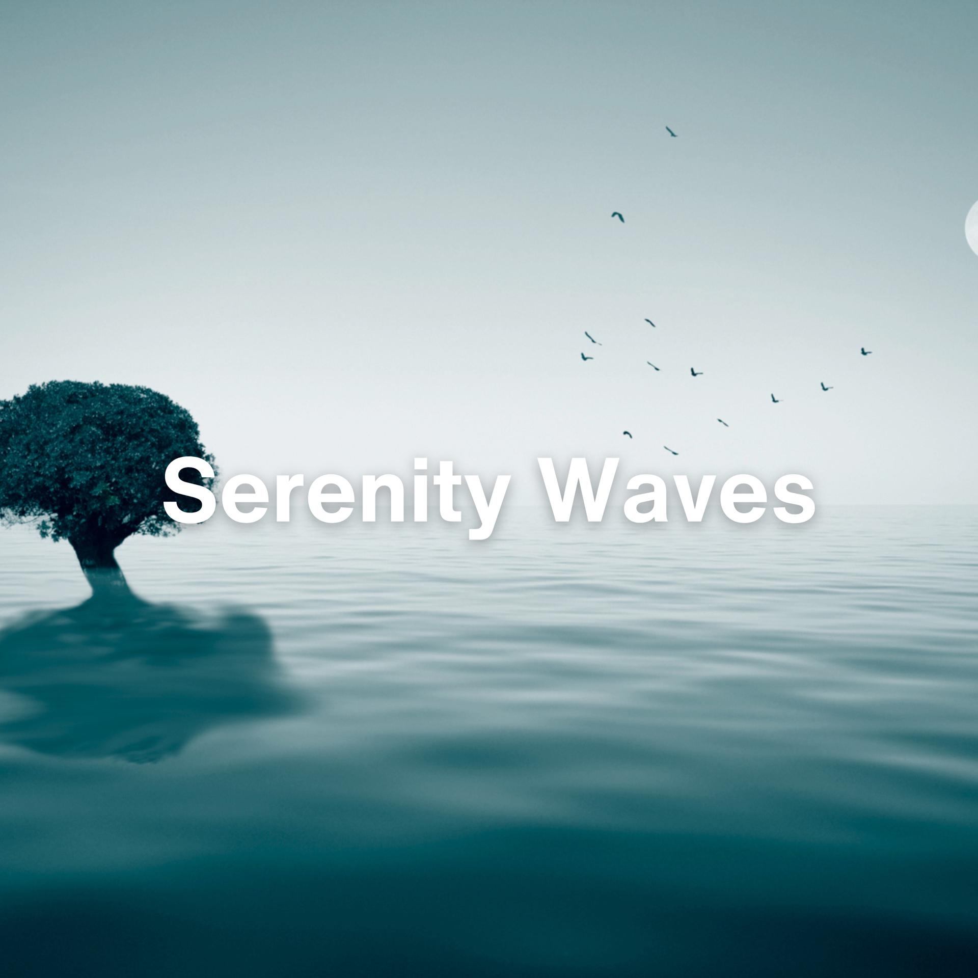 Постер альбома Serenity Waves