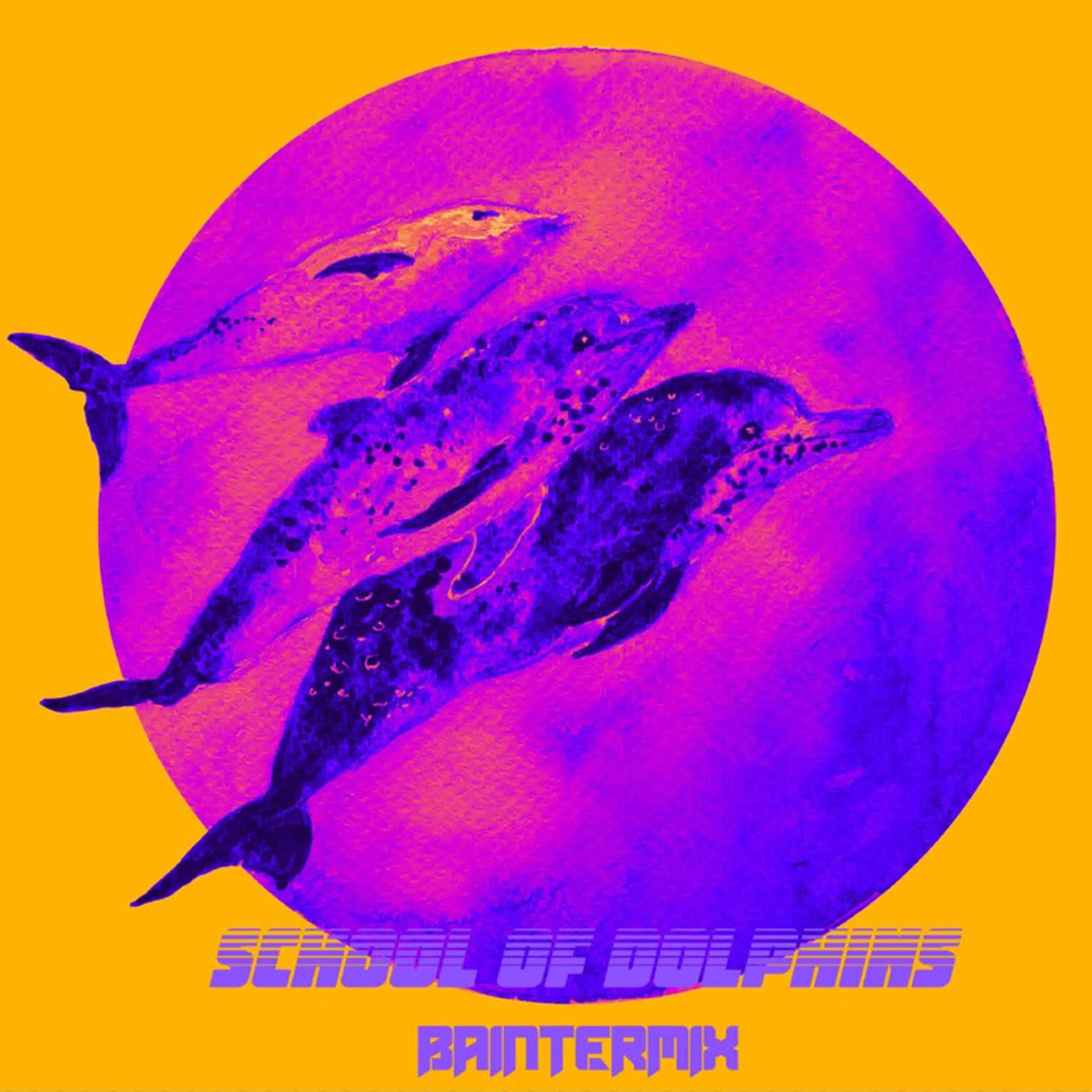 Постер альбома School Of Dolphins
