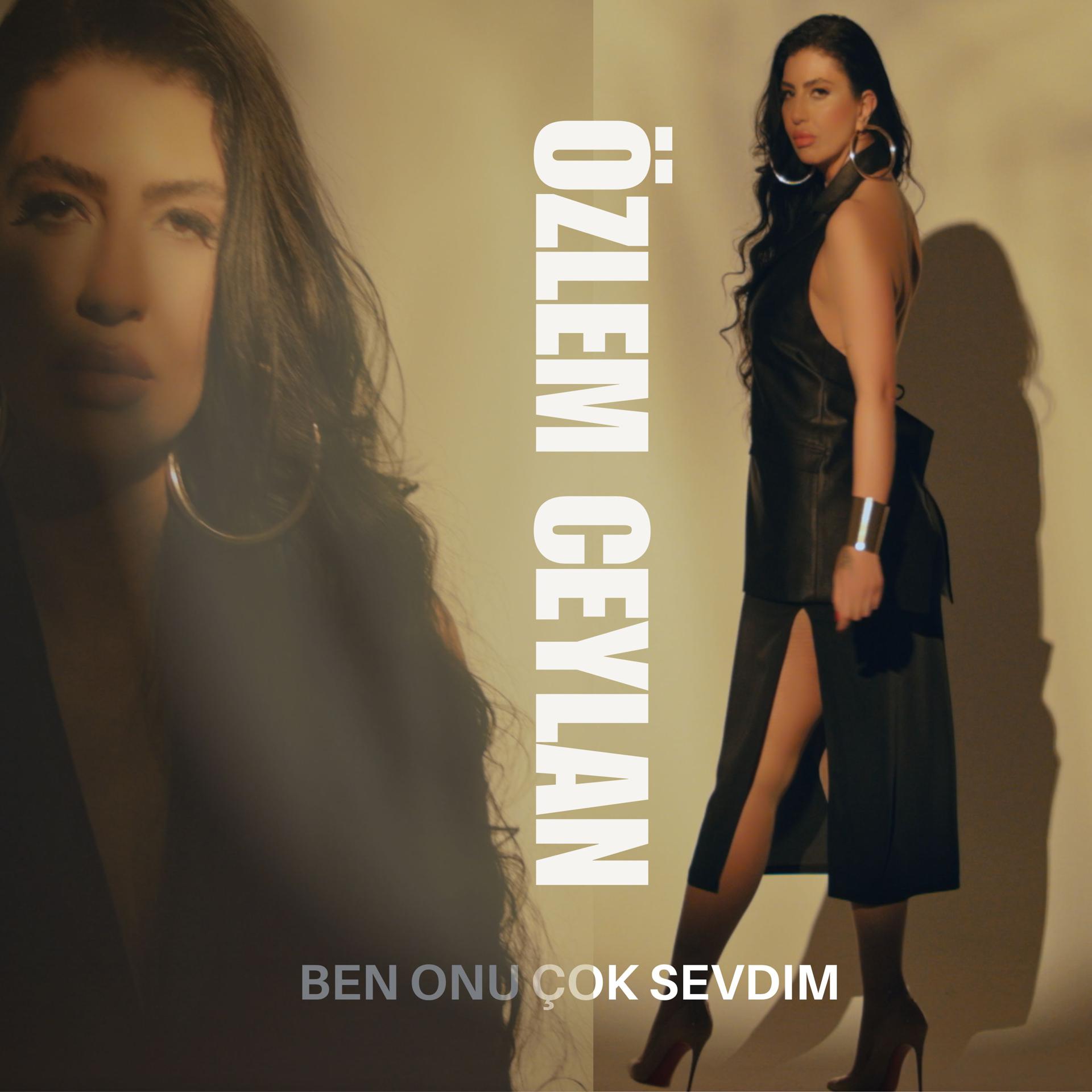 Постер альбома Ben Onu Çok Sevdim