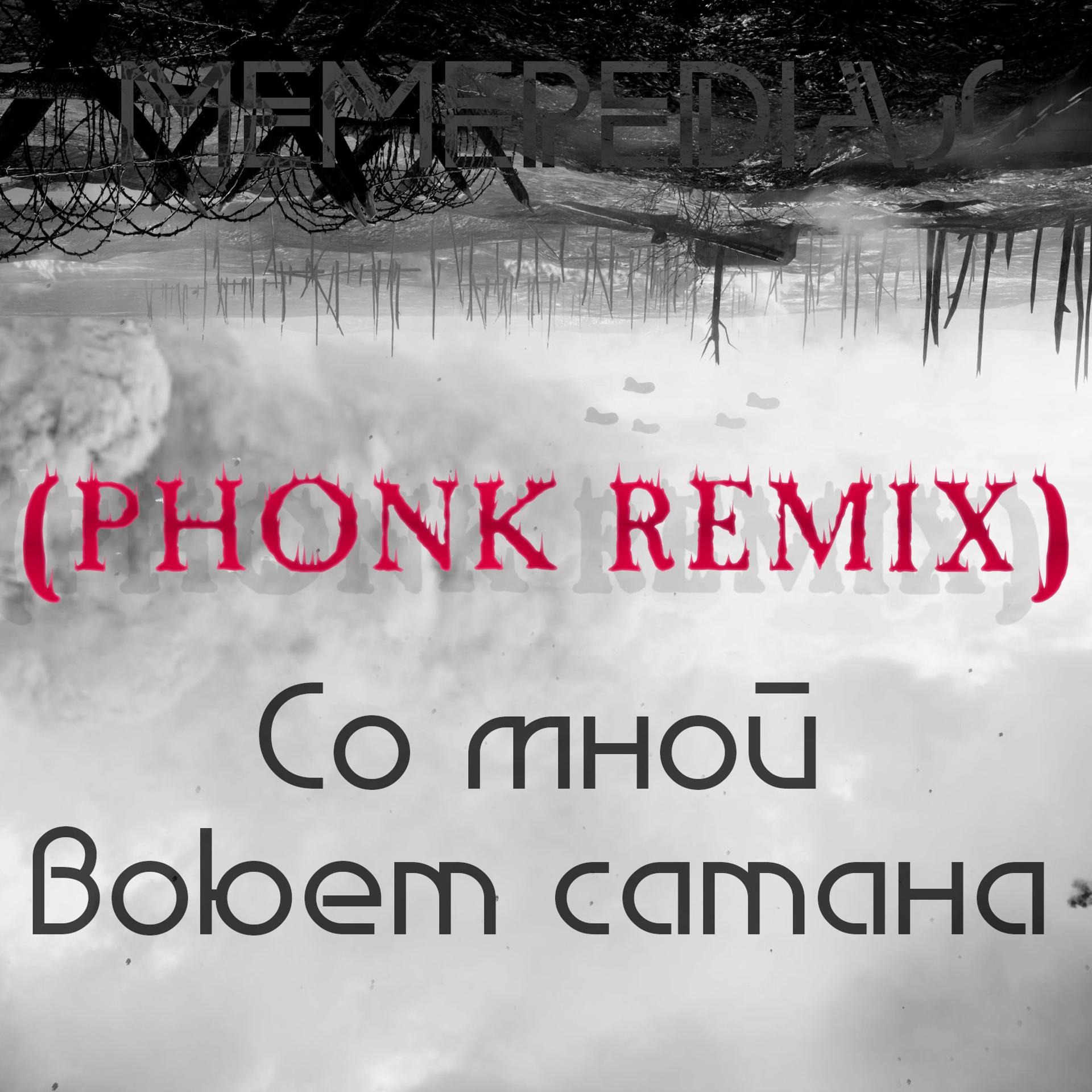 Постер альбома Со мной воюет сатана (Phonk Remix)