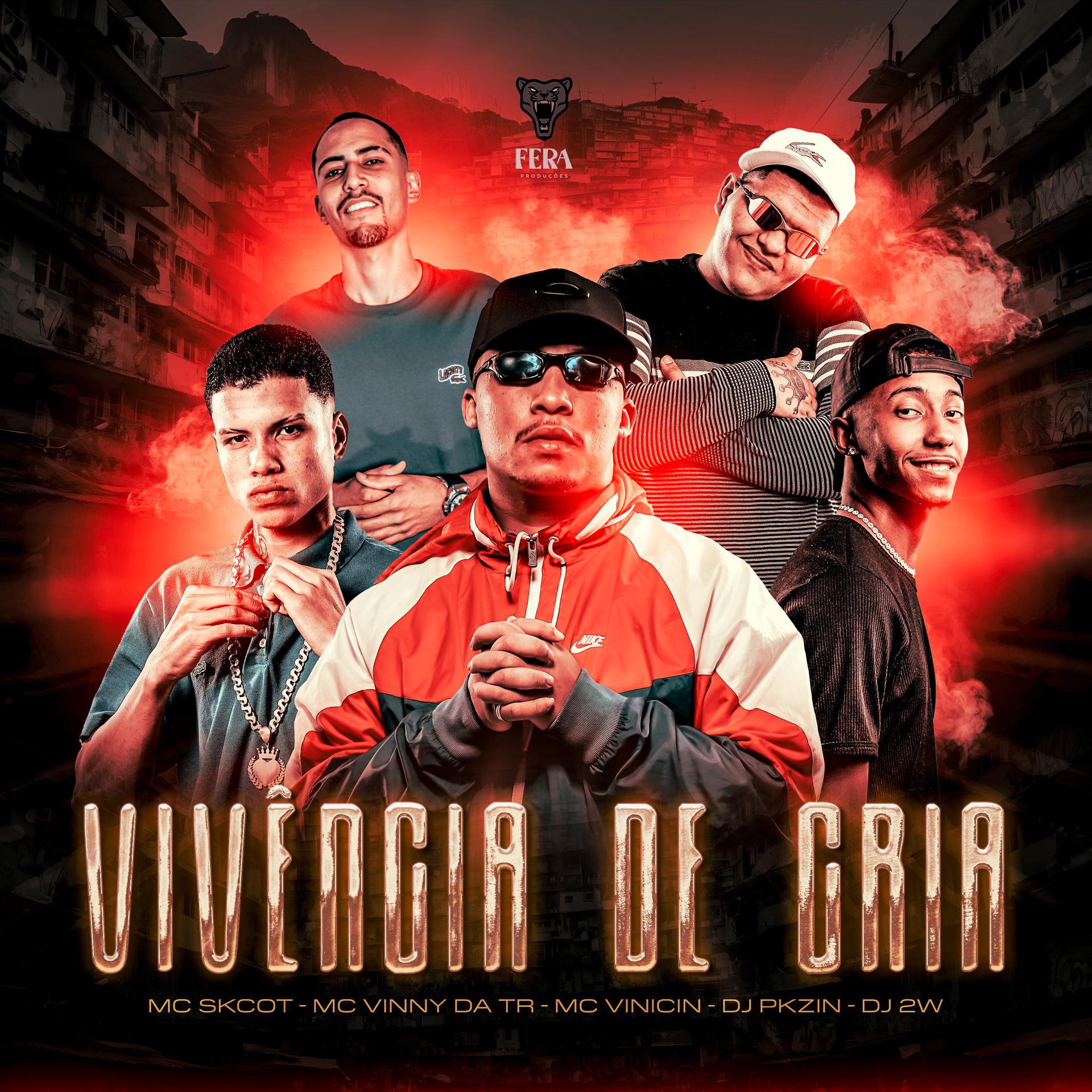 Постер альбома Vivência de Cria